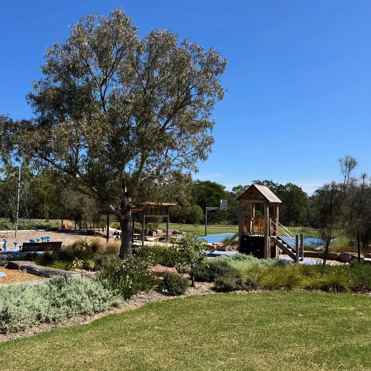 Checking out some play spaces that we designed a few years ago, including this one in Aspendale Gardens (being beautifully maintained by the City of Kingston).