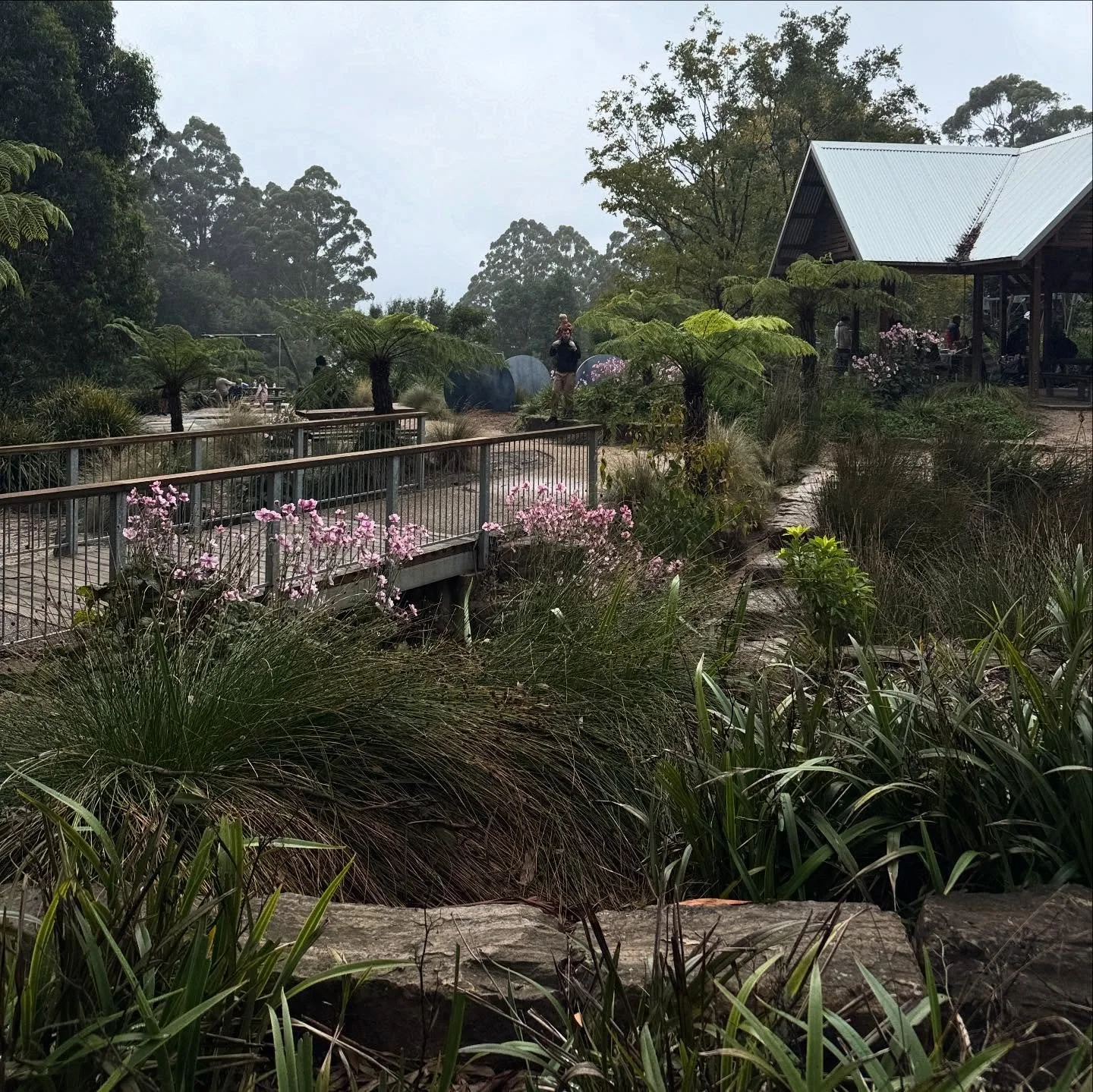It&rsquo;s nice to visit places we&rsquo;ve designed after some time has passed and they have had time to establish. This is Olinda play space, opened back in 2019. It now feels almost as much like a garden as it does a play ground.