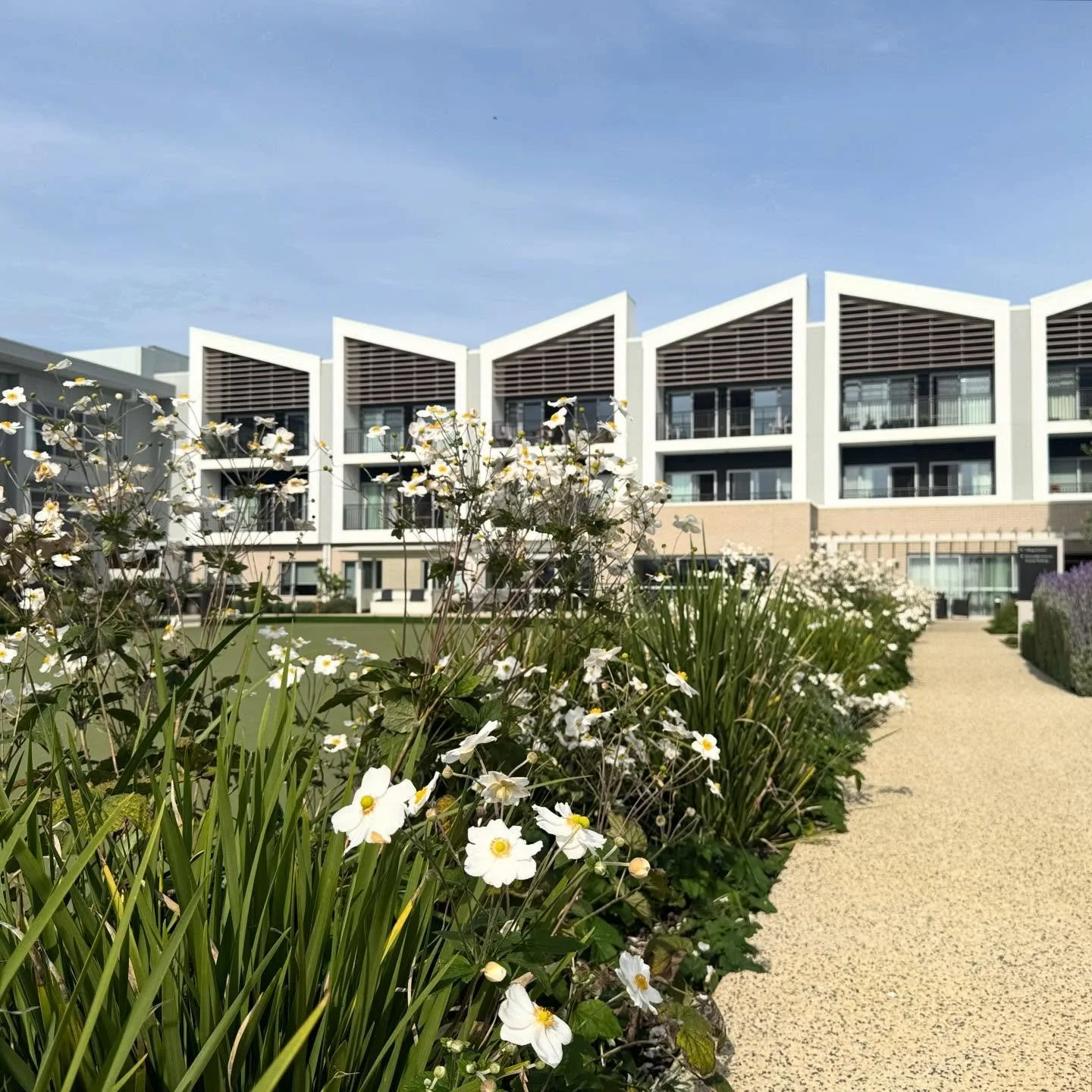 Landscapes establishing well at this aged care and retirement community in Ocean Grove that we&rsquo;ve been working on since 2021.
