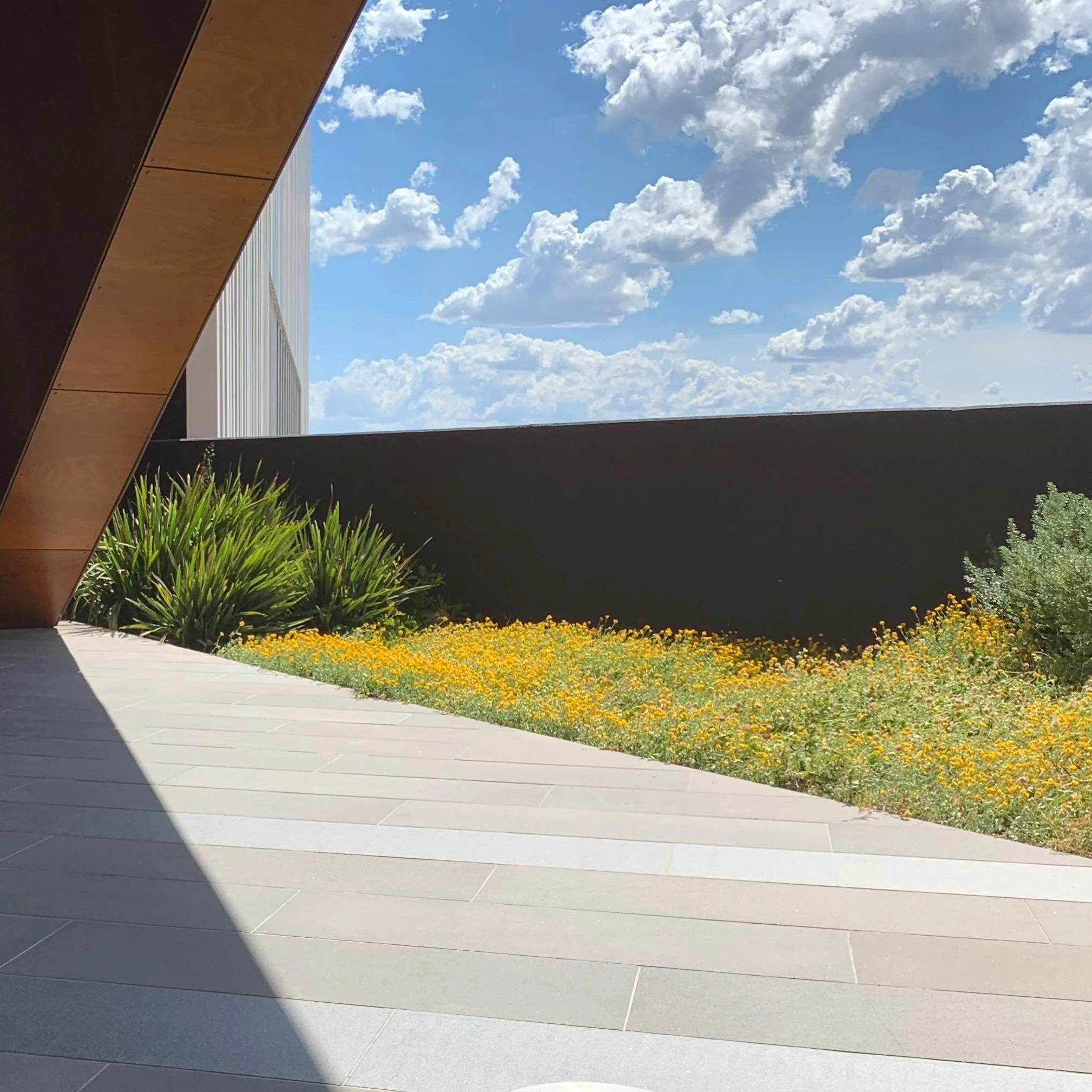 Sometimes everything falls into place. 
The plants are thriving and flowering. 
The clouds are fluffy. 
The shadow is being attractively cast. 
And there&rsquo;s no litter or graffiti. 
(From a site in Templestowe we worked on a few years ago).