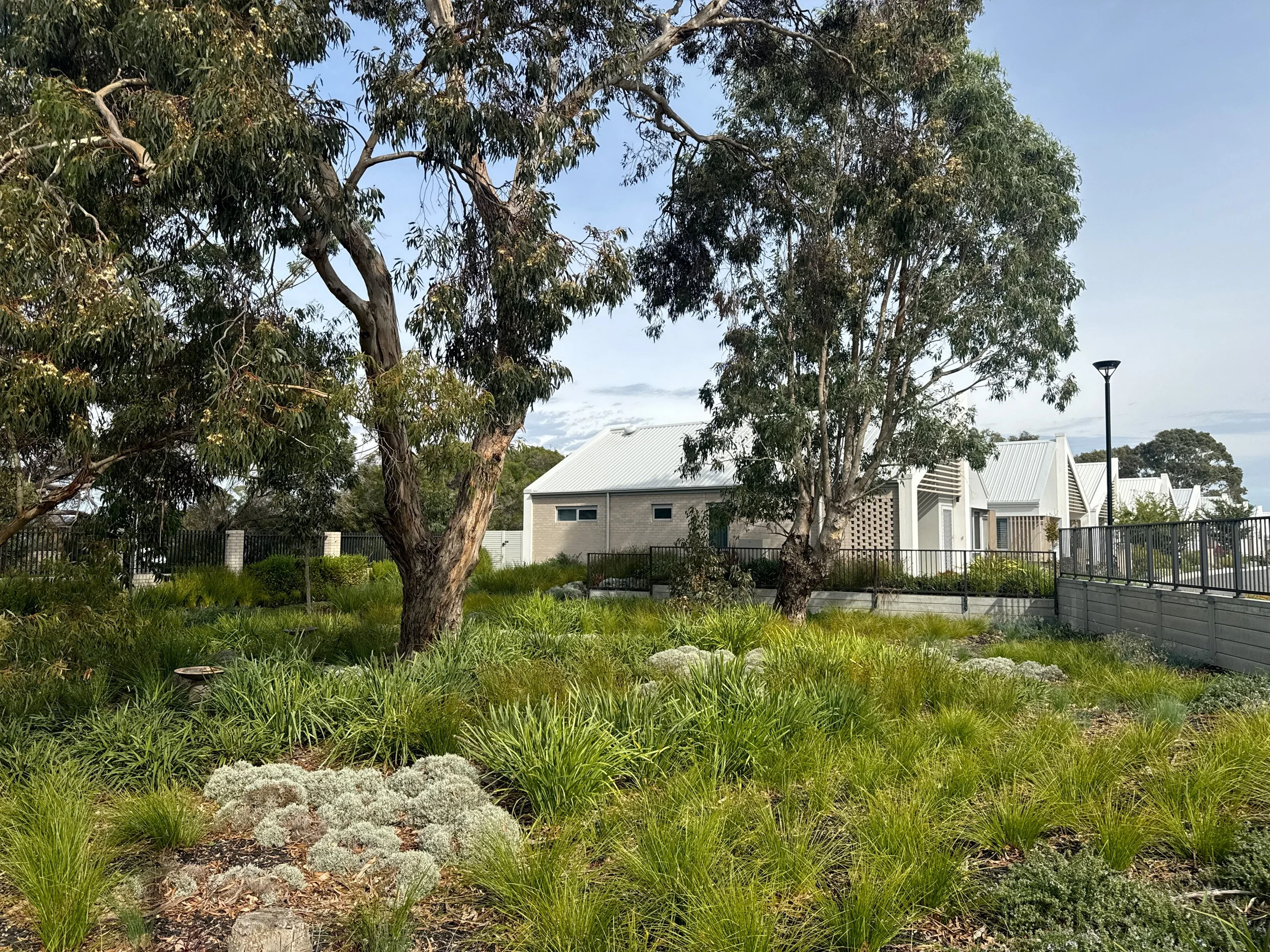 FFLA_ogrove_05.jpg