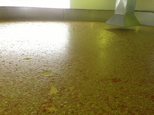 Here we see a fermenter that has been working for around 3 days. The red substance is oil from the mash bill that floats to the top of fermenter as part of the process.