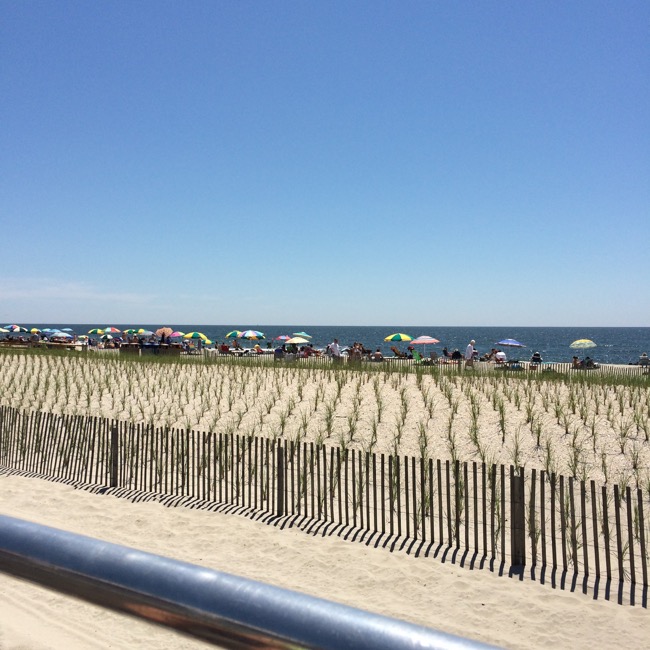 Dune grass had to be planted after the beach was completely rebuilt following Hurricane Sandy in 2013