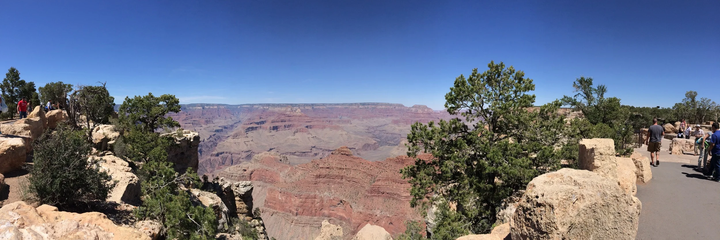 IMG_7322.jpg