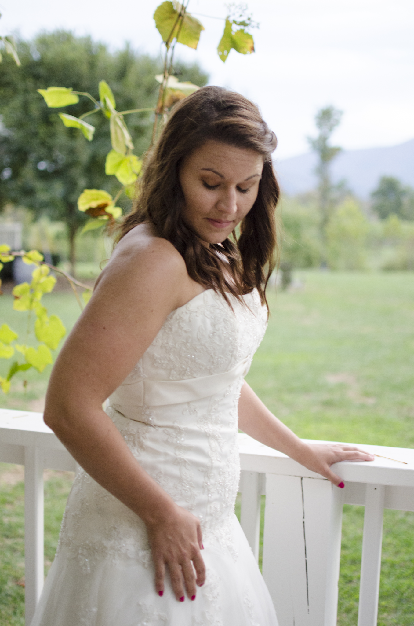 Veritas Vineyard | Hampton Roads Photographer