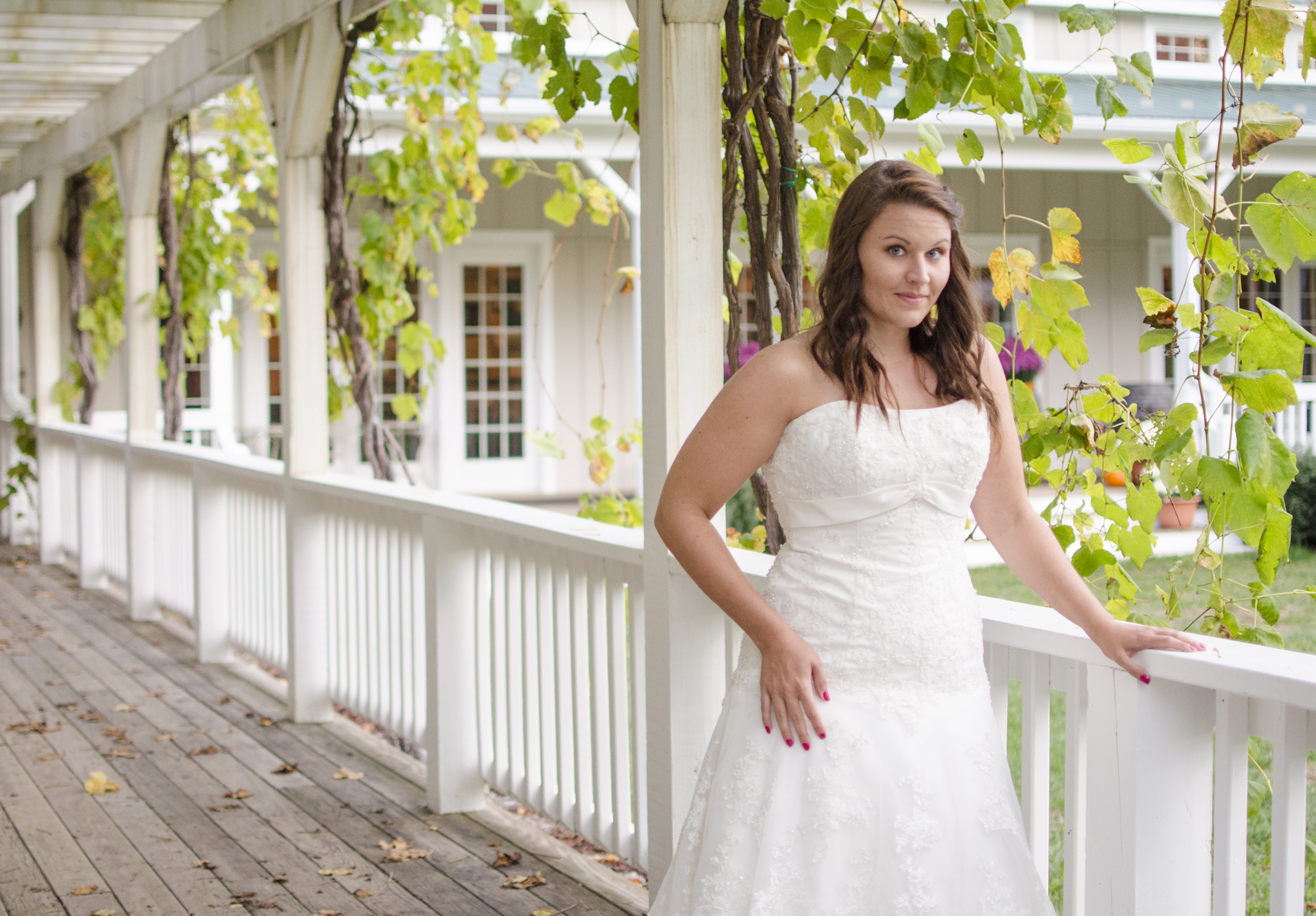 Veritas Vineyard | Hampton Roads Photographer