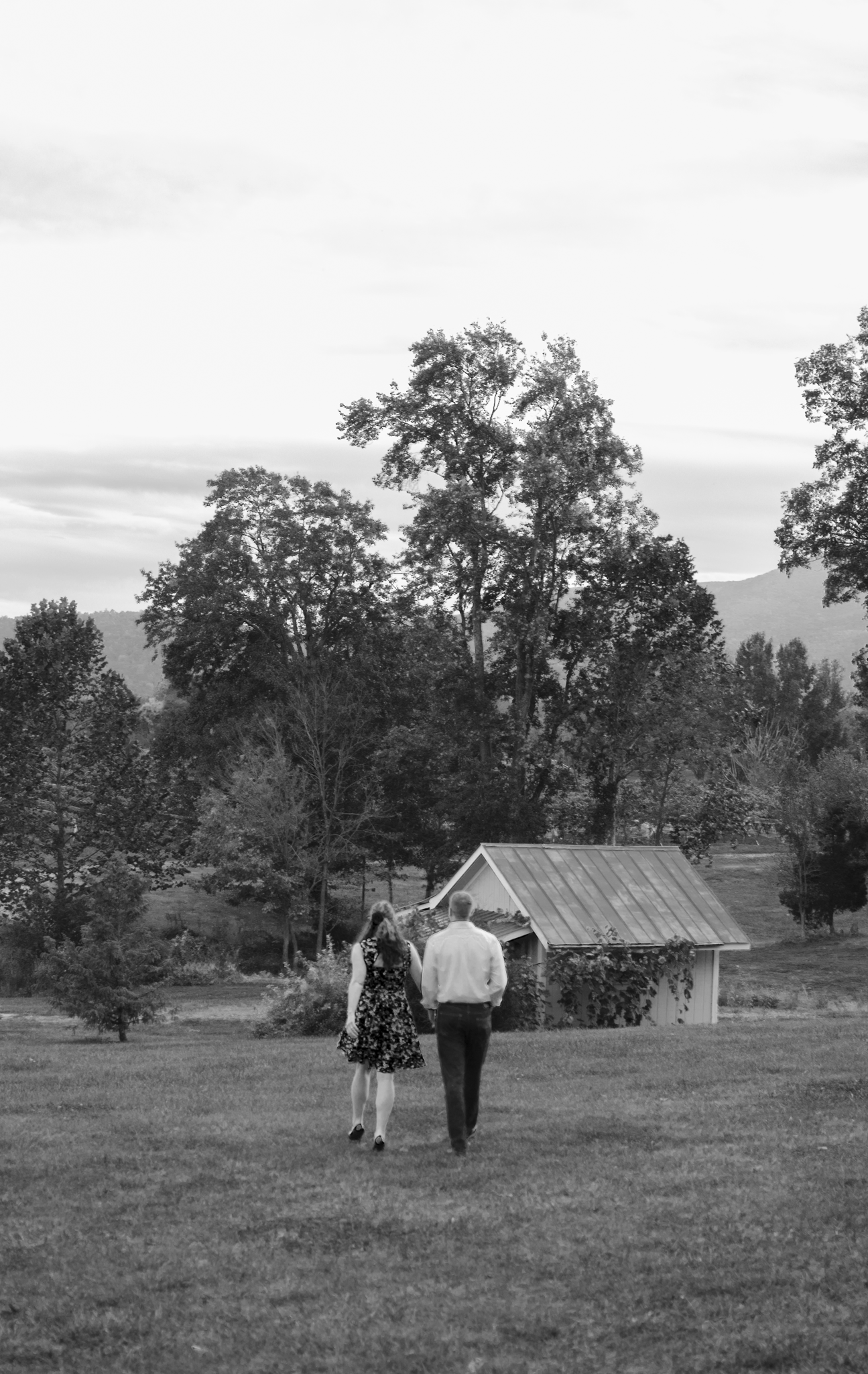 Veritas Vineyard | Hampton Roads Photographer