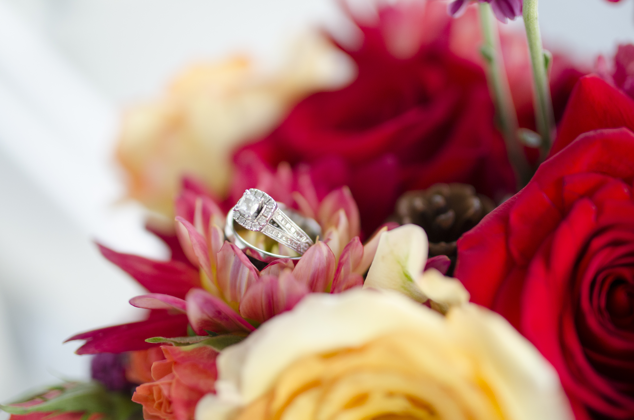 Sweet Temptations Dessert Cafe at Lesner Inn Virginia Beach wedding photographer