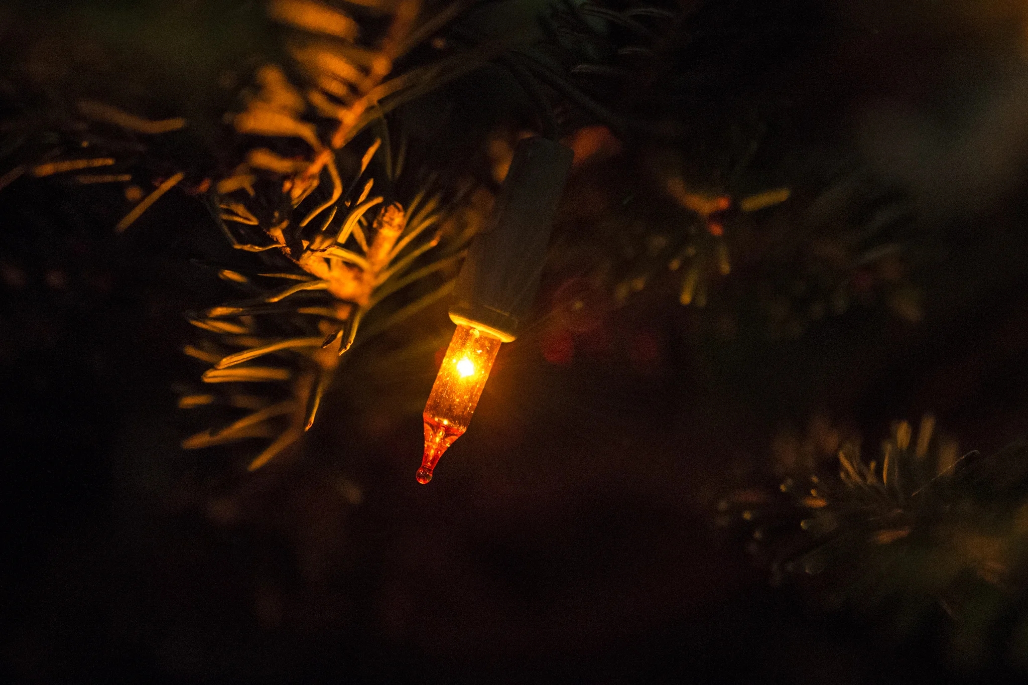 Orange Christmas light