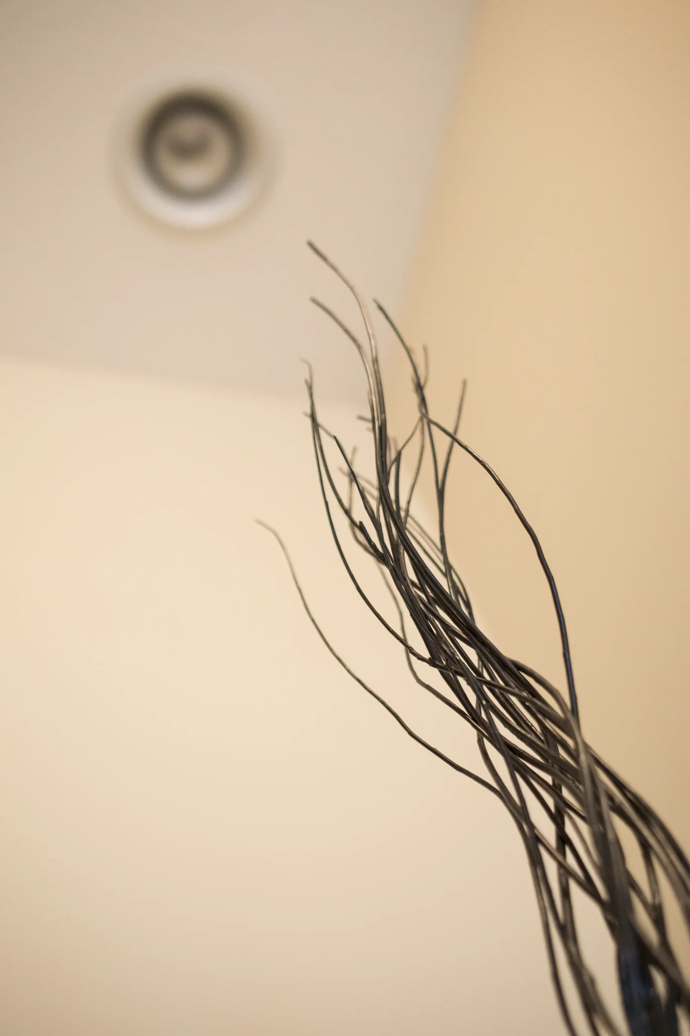 Ikea vase with branches