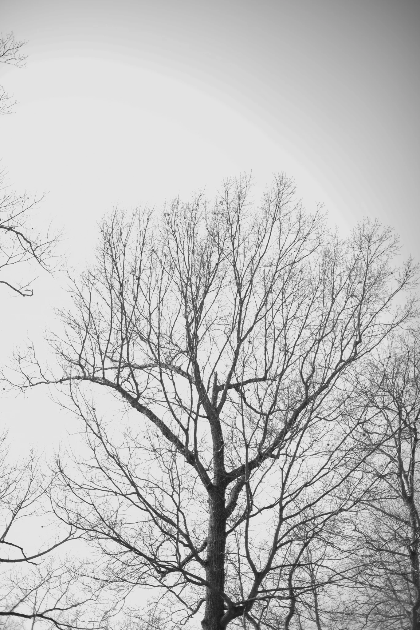  This Thing We Fear: A blog about staring your fears in the face and moving forward anyways | Maria Grace Photography | www.mariagracephoto.com