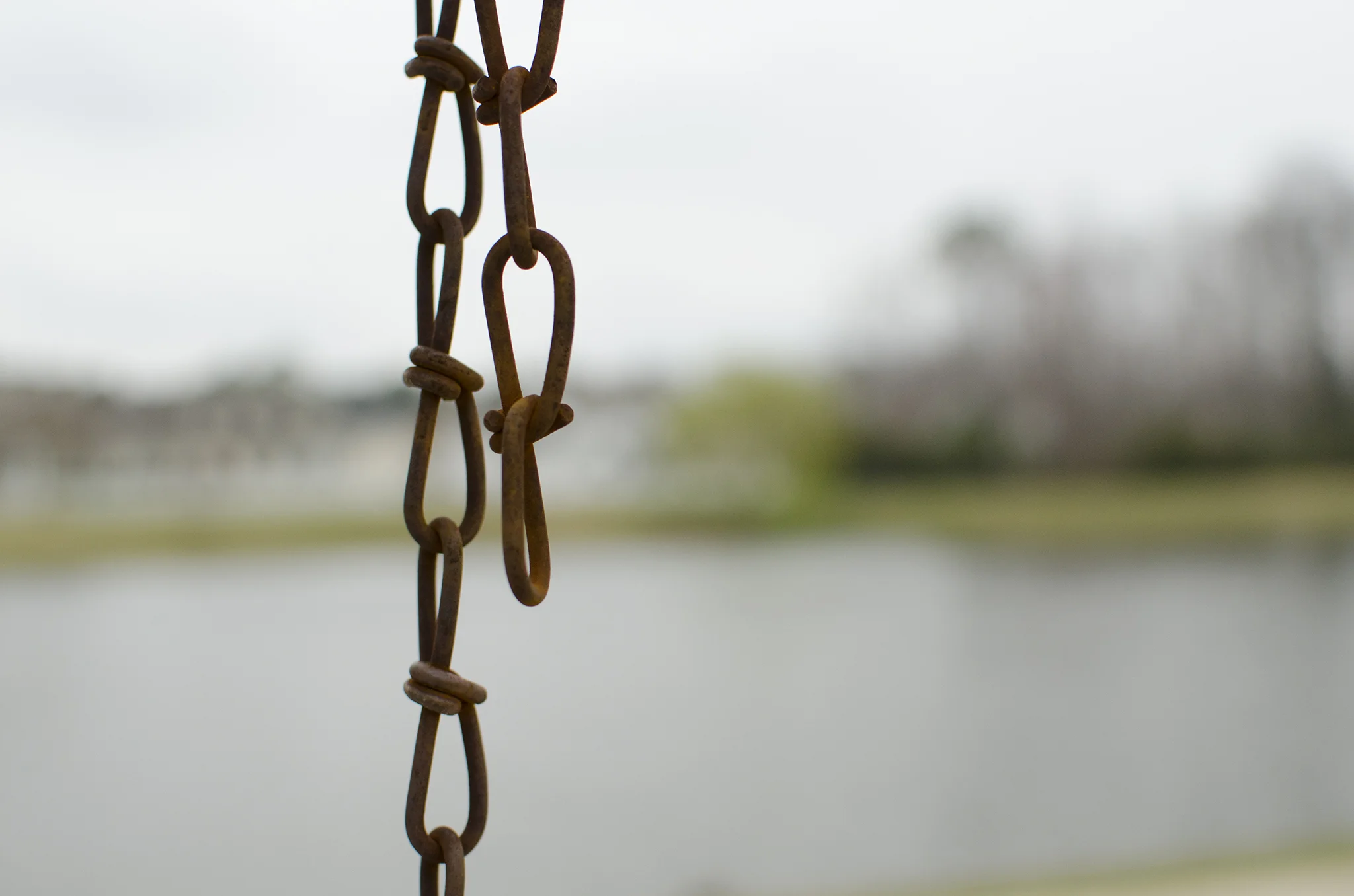 How to create bokeh (a blurry background) in photography: a guide