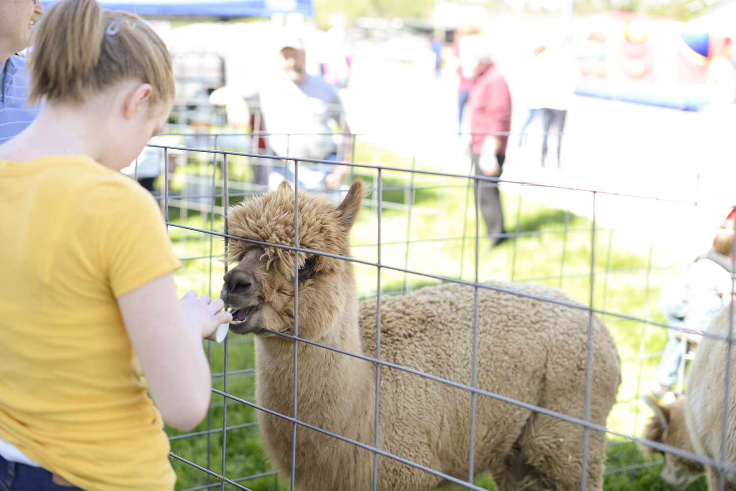 Vinton Dogwood Festival in April 2014 | Maria Grace Photography