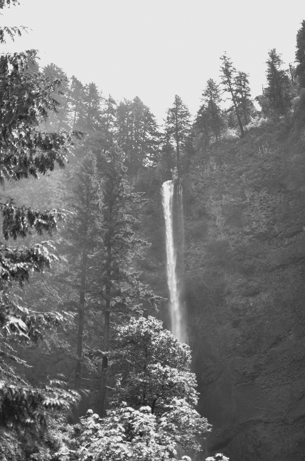 Gorgeous black and white at Multnomah Falls (waterfalls) | Maria Grace Photography