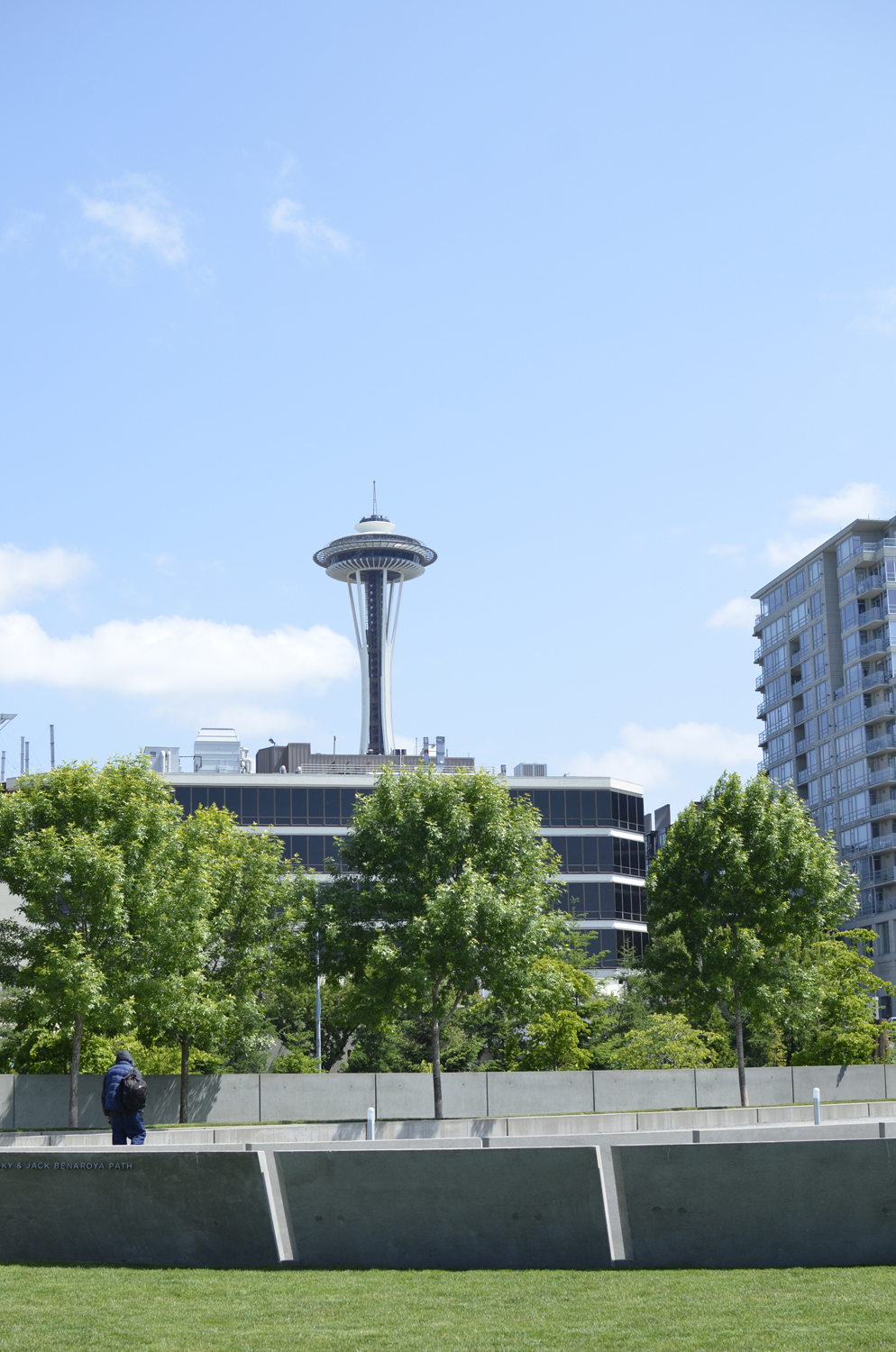 View of the Seattle Space Needle from Olympic Sculpture Park | Maria Grace Photography