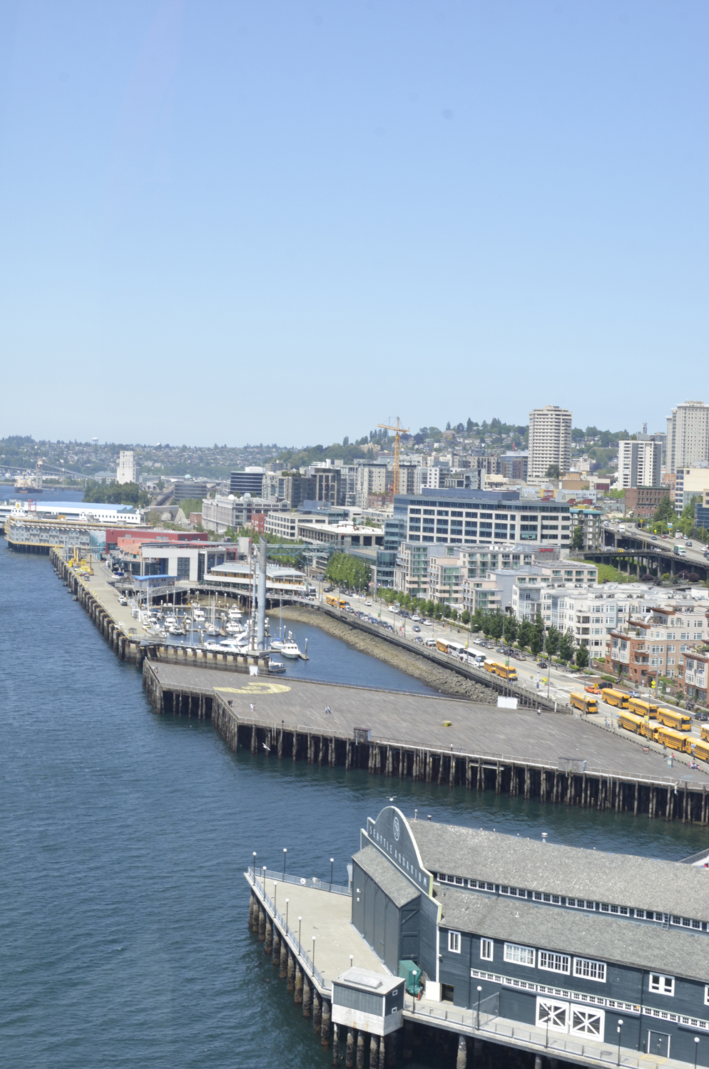 Our view from the Seattle ferris wheel!