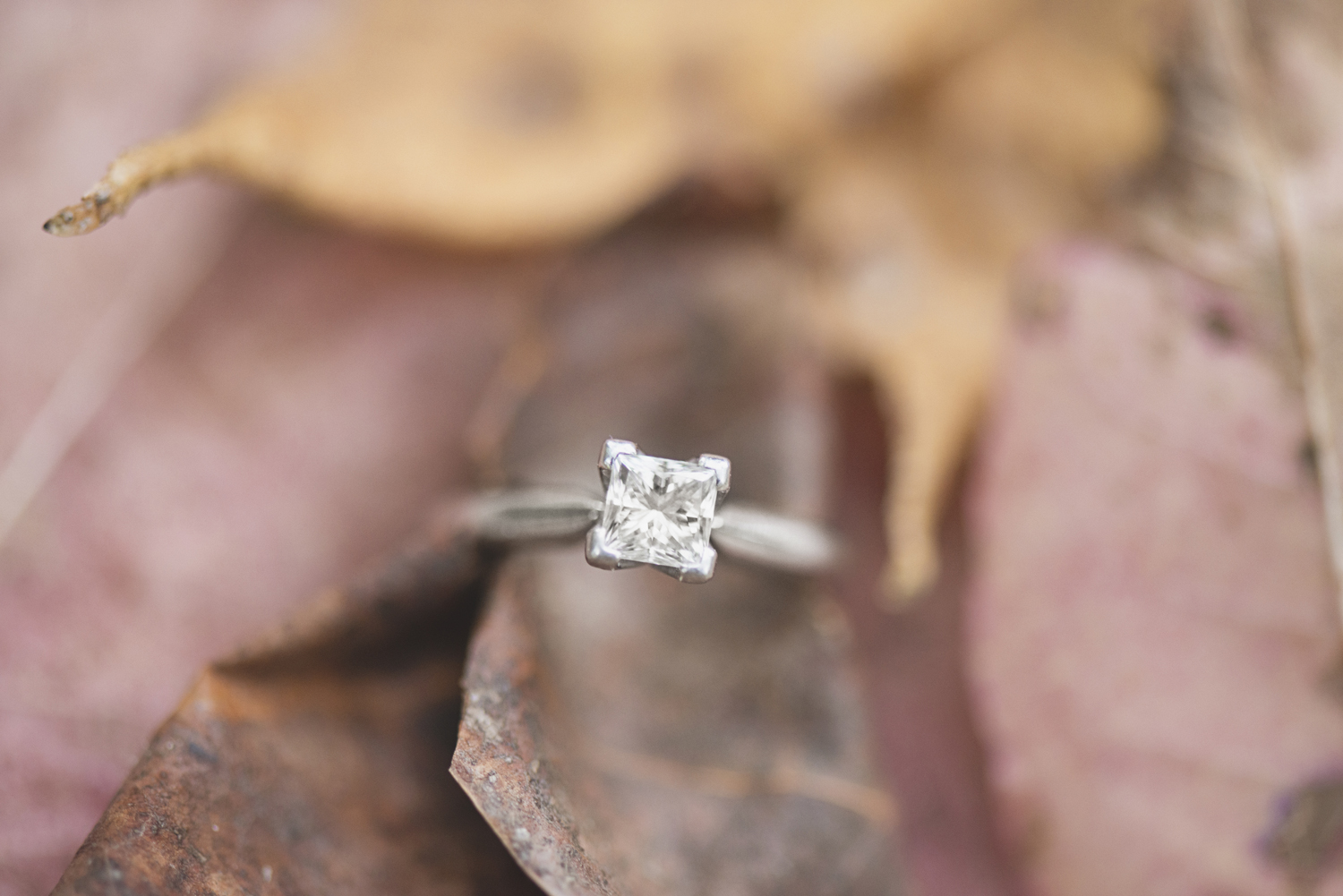 Newport News Engagement Session | Colorful fall leaves engagement
