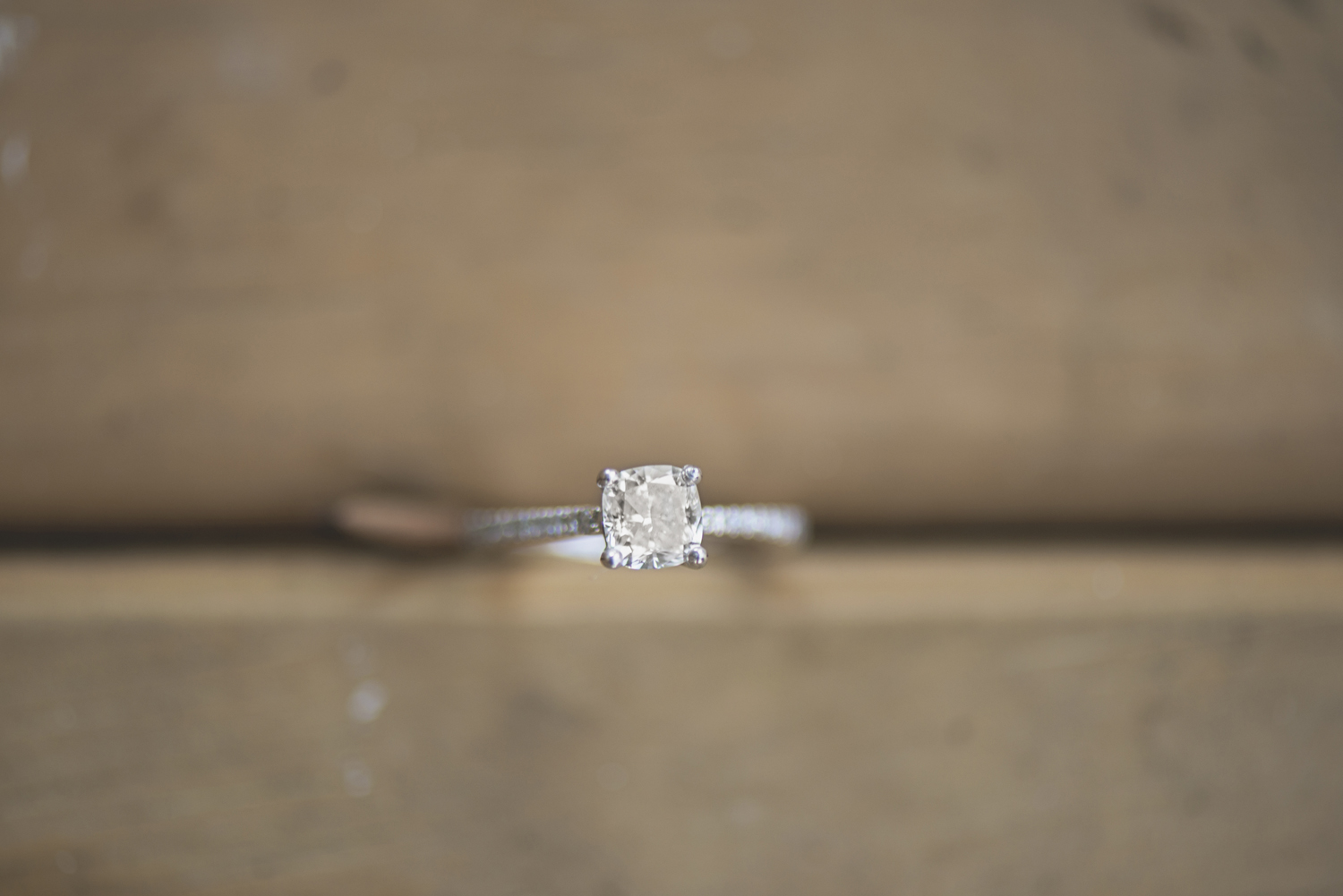 Destination Northern Virginia Engagement Session | Stunning ring shot