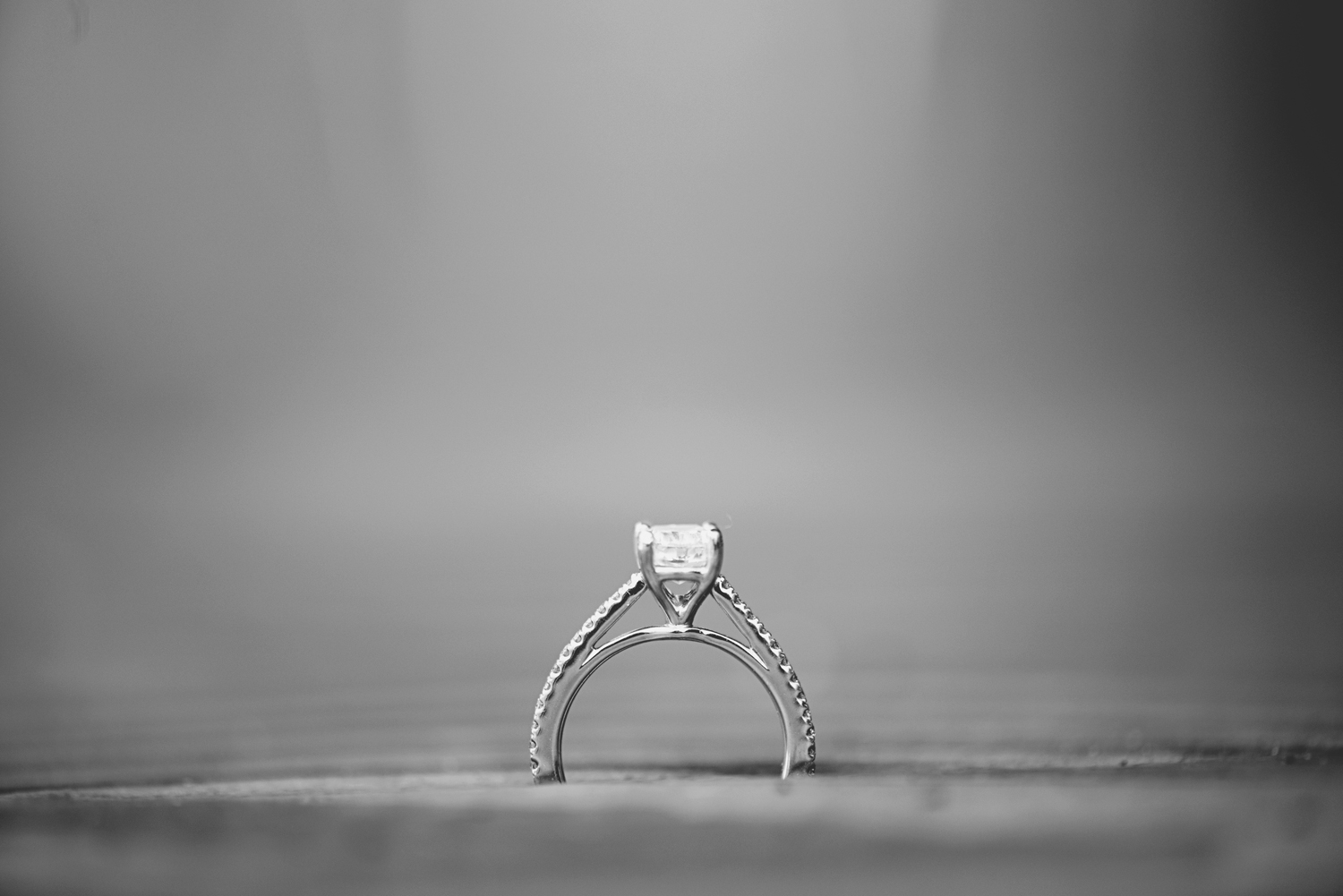 Destination Northern Virginia Engagement Session | Black and white ring shot