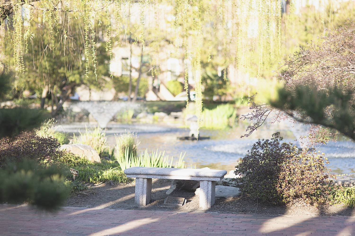 Will You Marry Me? Proposal Ideas | Norfolk Engagement Photographer