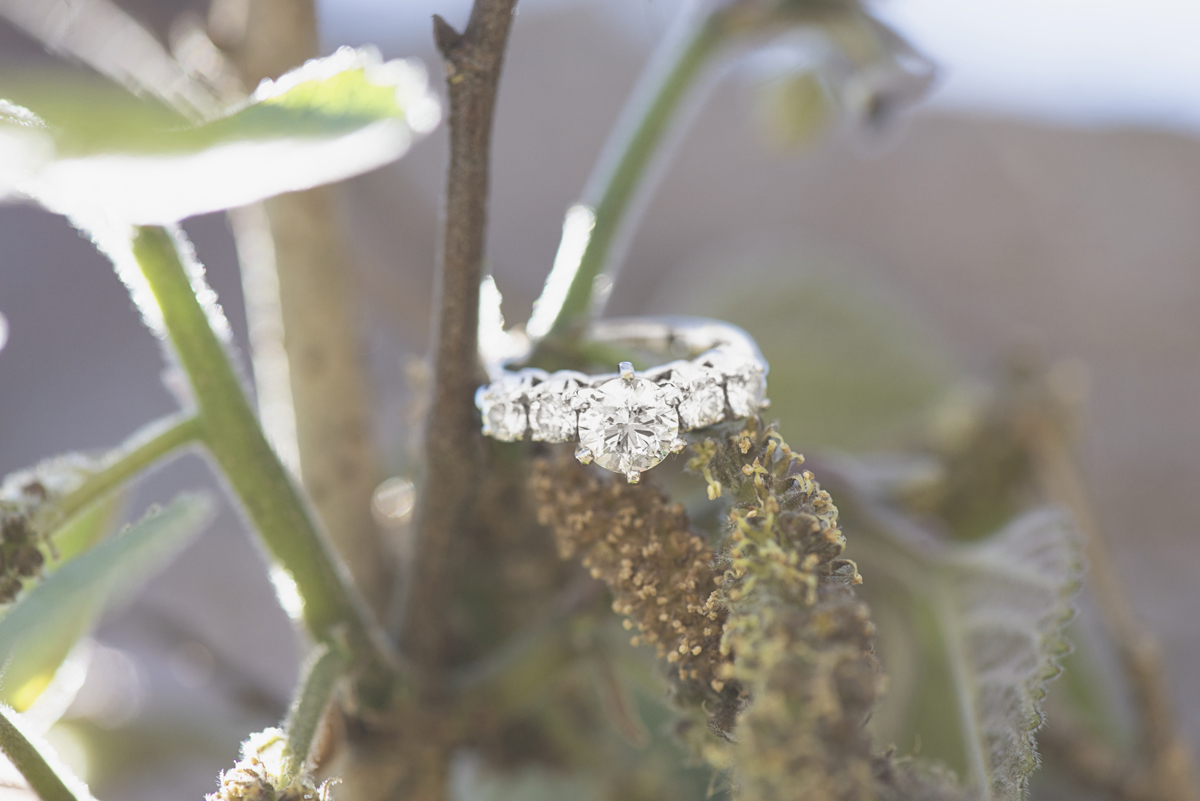 Stunning engagement ring picture
