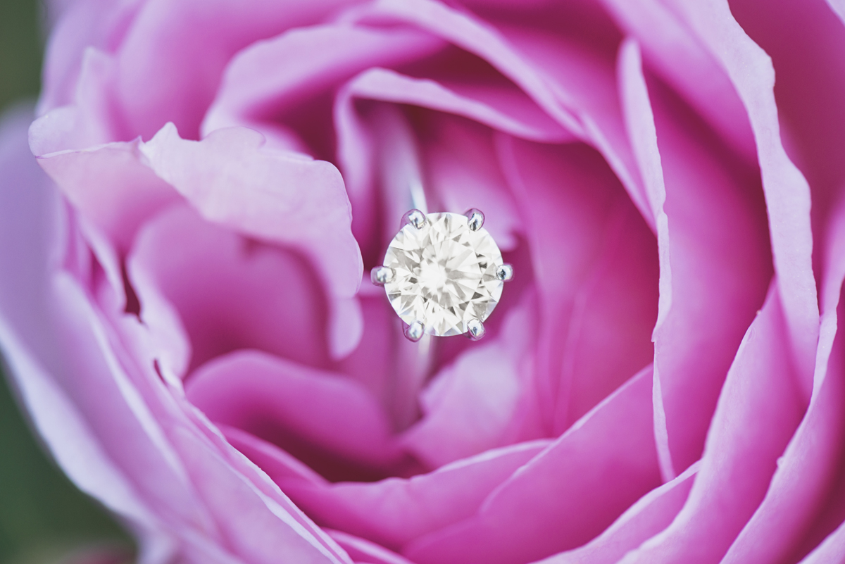 Pink Rose Engagement Ring Shot