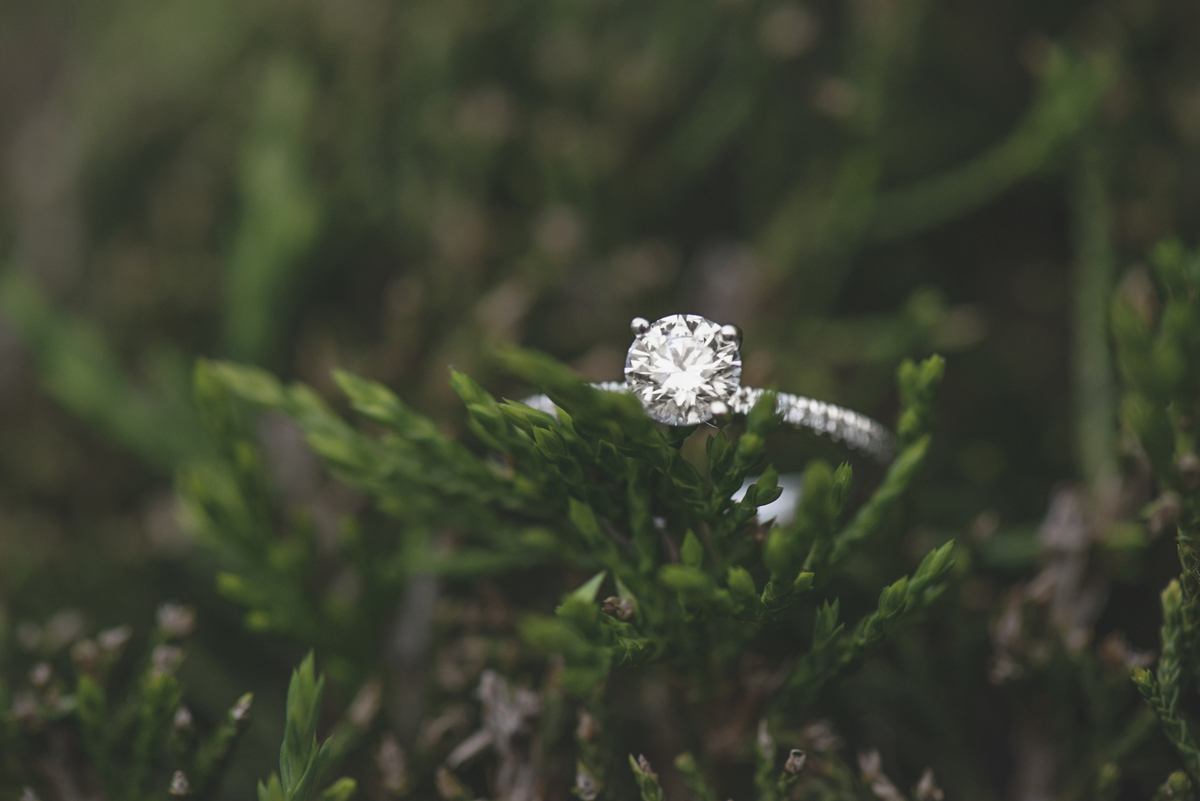 Christopher Newport Engagement Session | Rainy Spring Pastel Engagement Session