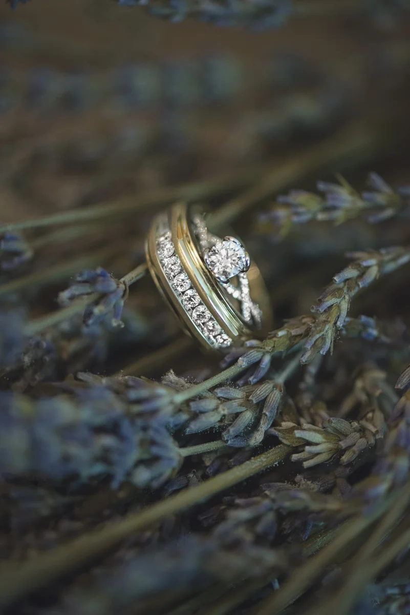 Elegant Lavender Plantation Elopement | Dried lavender ring shot