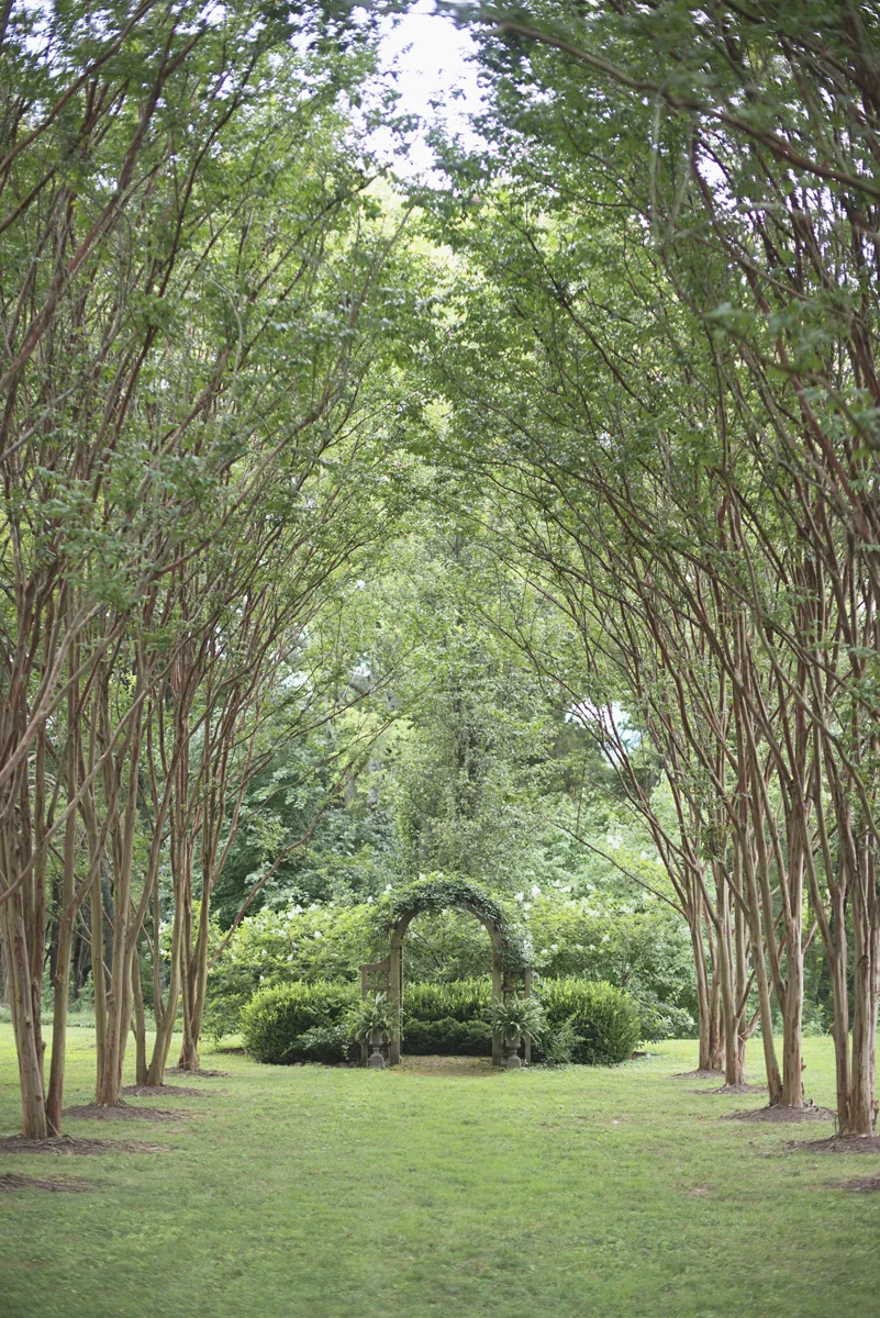 Elegant Lavender Plantation Elopement | Outdoor ceremony space with overhanging trees and greenery