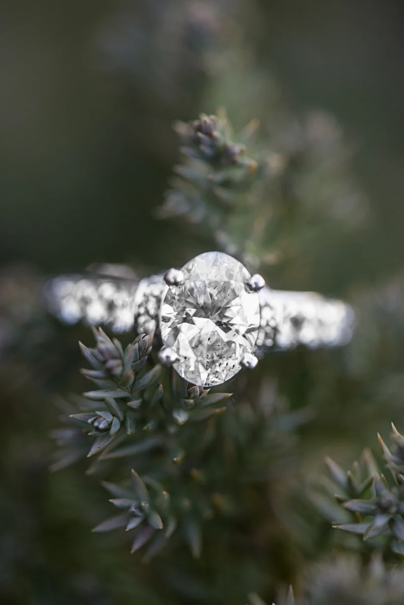 White Gold Evergreen Engagement Ring