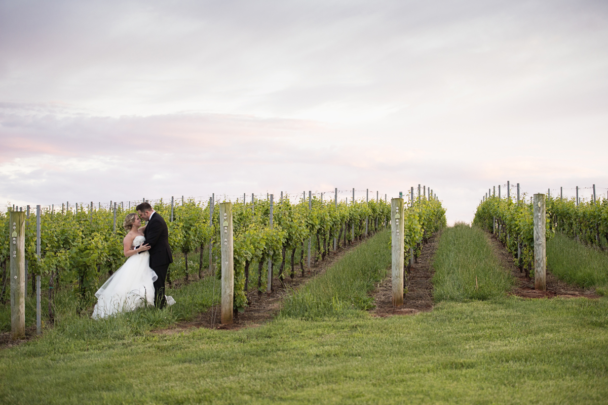 Albemarle Estate at Trump Winery Wedding | Bride and Groom Sunset Vineyard Portraits