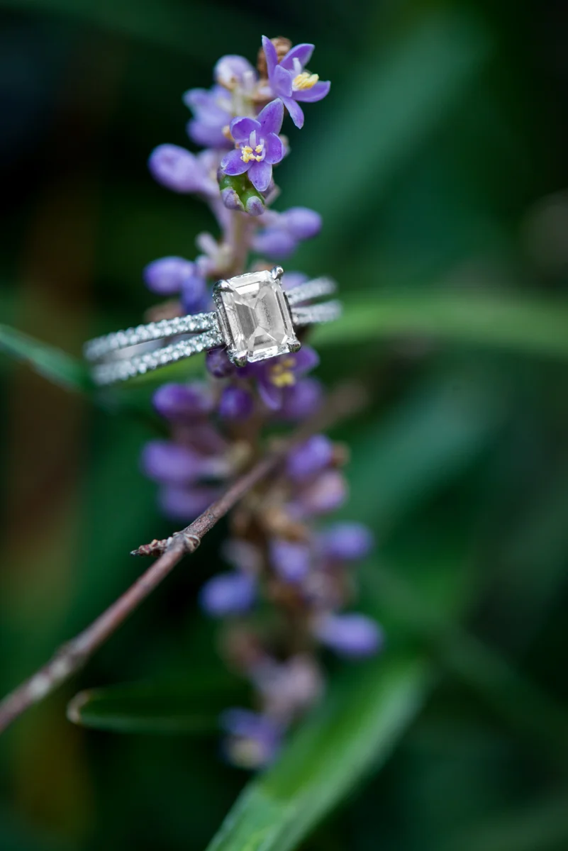Lavendar Engagement Ring Shot