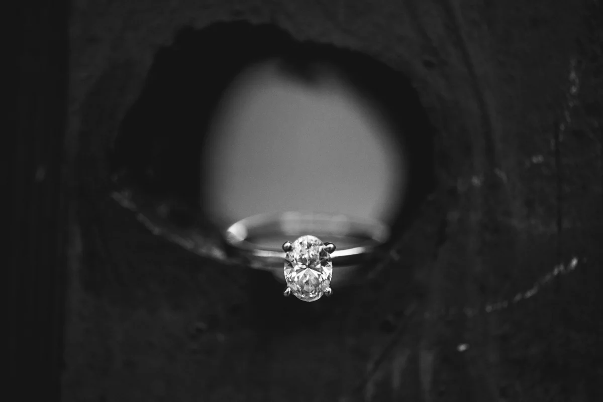 Black and White Oval Ring Shot