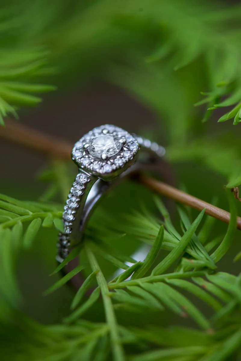Greenery Ring Shot