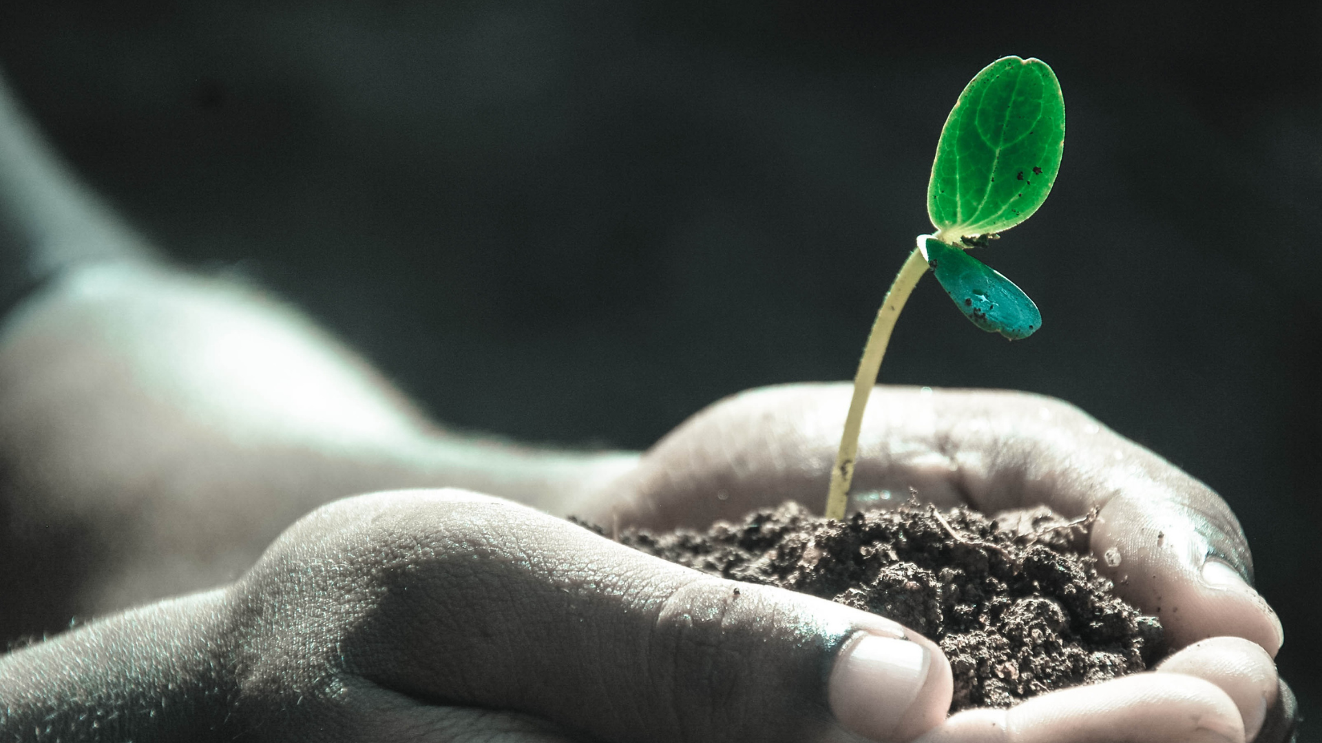 We are just getting started | A vision for our future