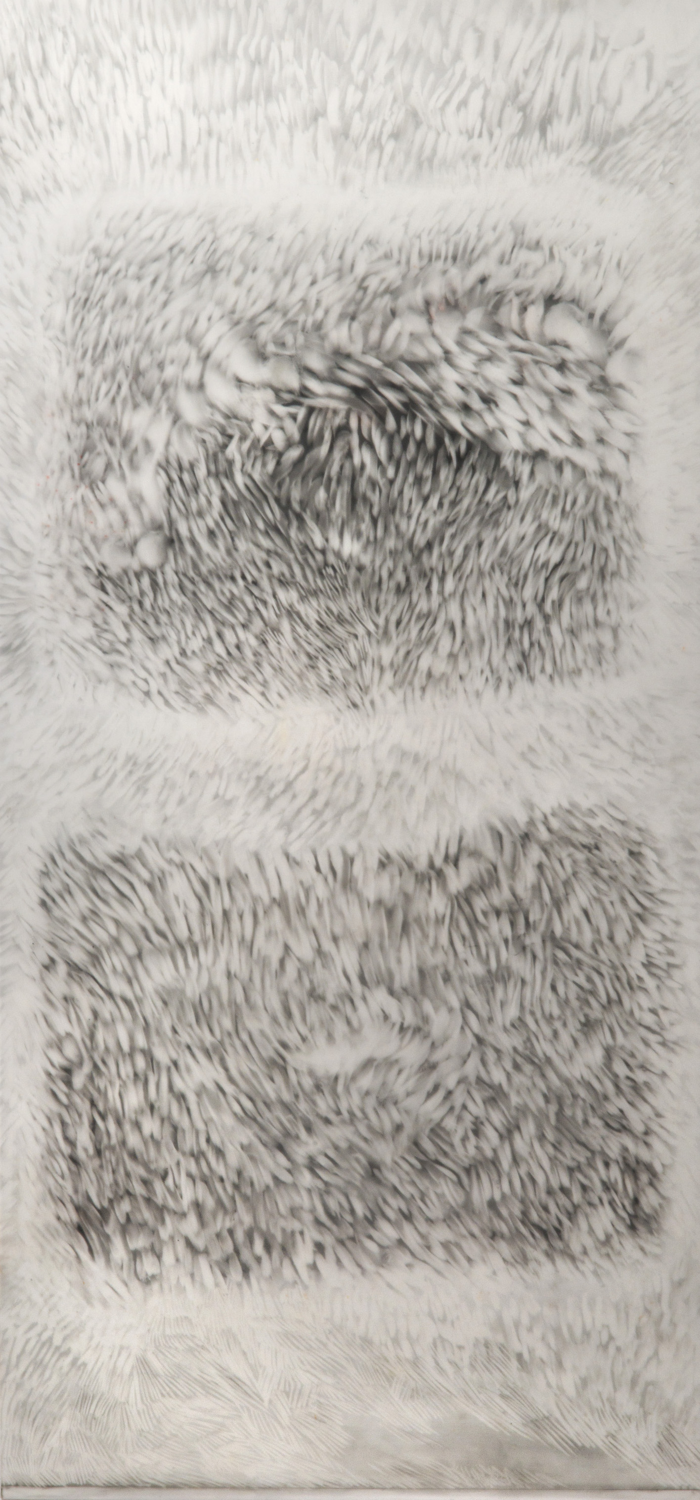 OBSERVED AND RECORDED PERMUTATION OF THE HOLY SPIRIT I PASTEL AND GRAPHITE ERASINGS ON DURALAR 9.625 IN. X 20.75 IN. unframed Price $800