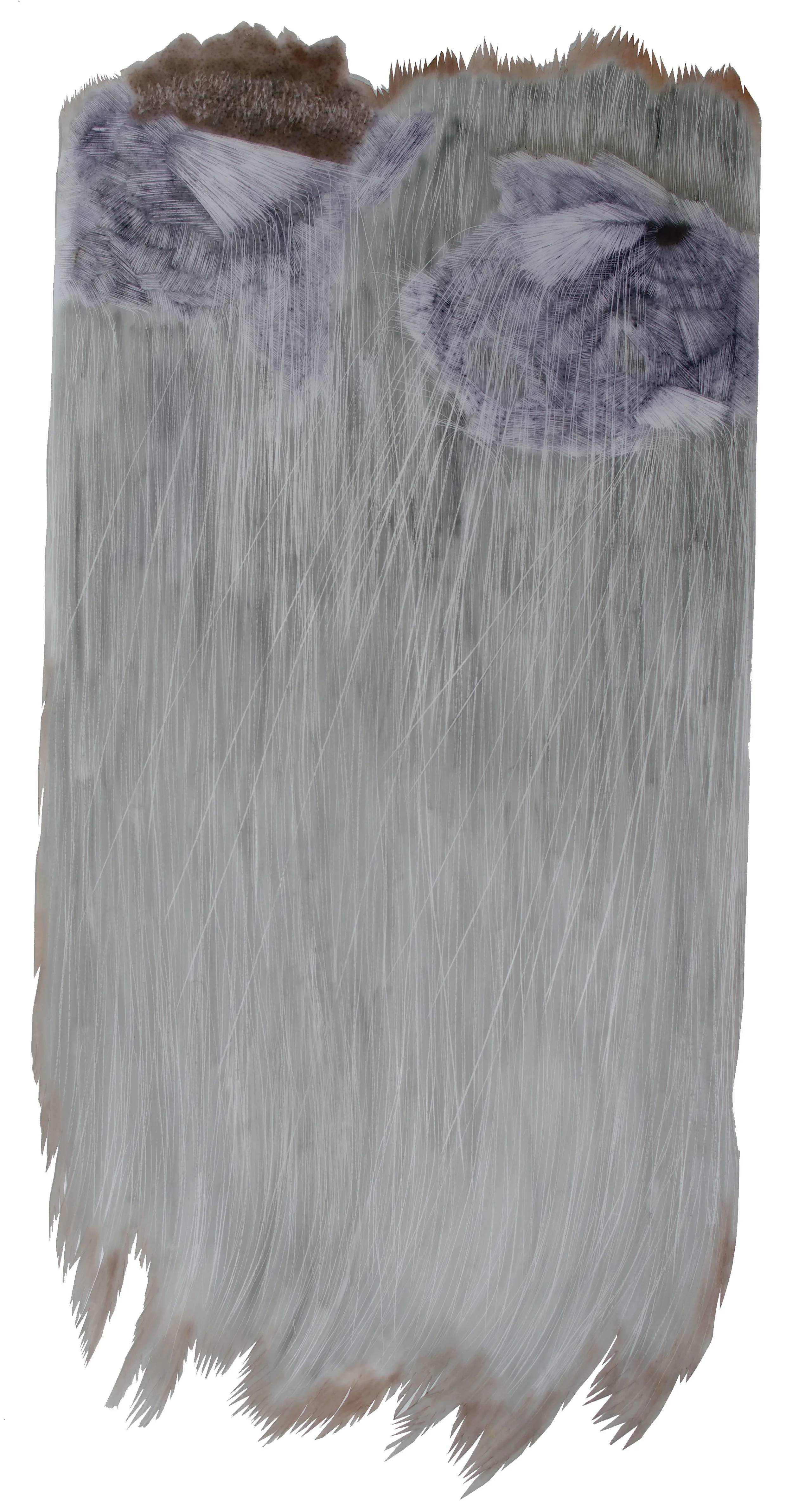 EXPERIMENTAL UNTITLED II PASTEL AND POWDERED GRAPHITE ERASING ON DURA-LAR 40 IN. X 70 IN. unframed price $2,000