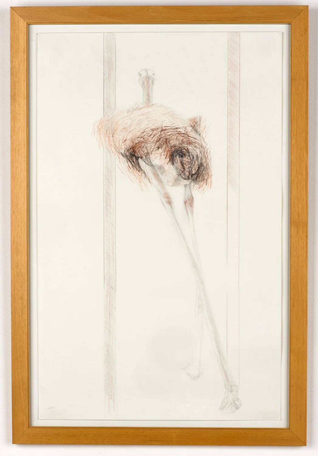 FLIGHTLESS BIRD SERIES EVIDENCE 01 GRAPHITE, COLORED PENCIL ON PAPER 24 IN. X 40 IN. price $800
