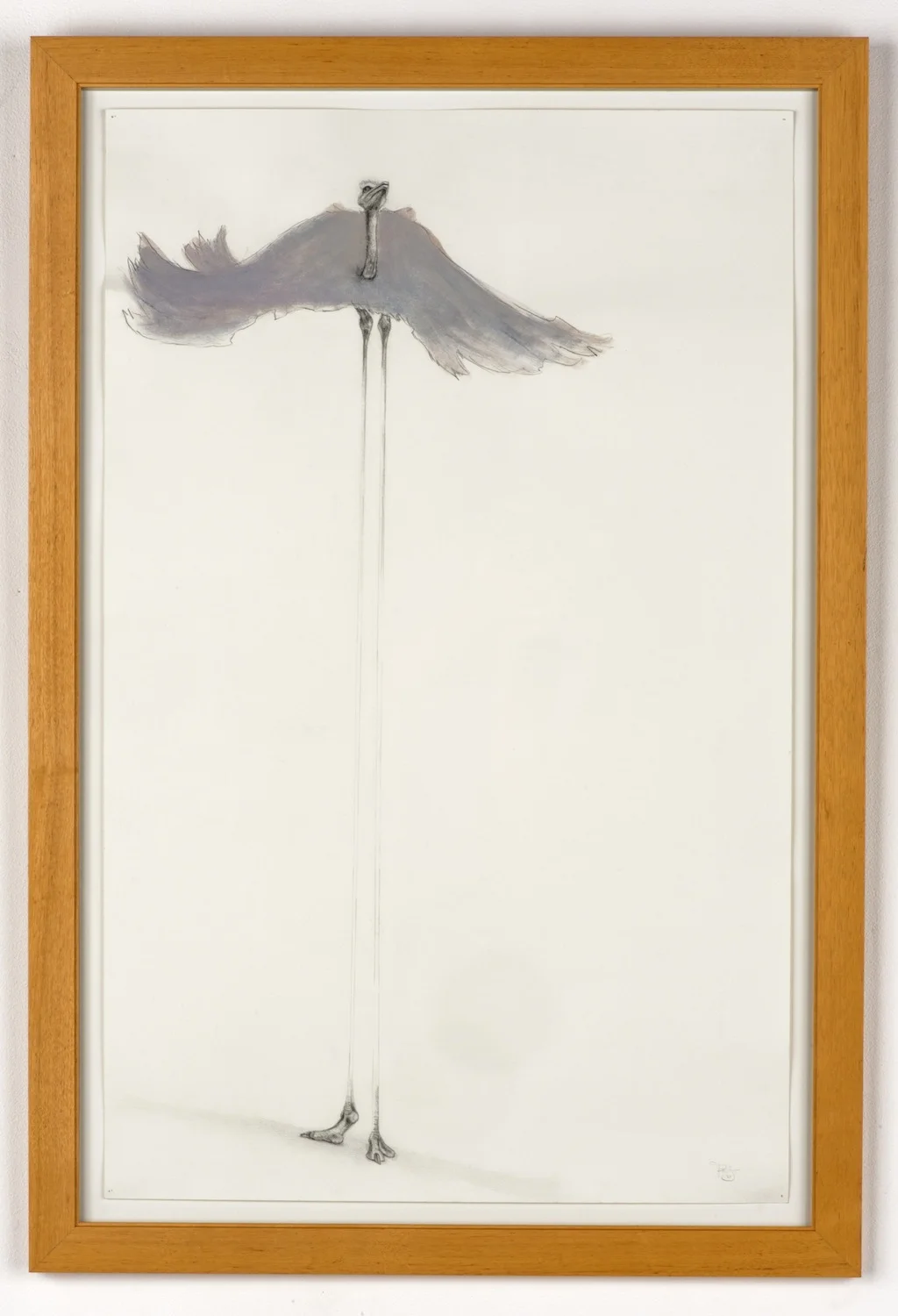 EVIDENCE 02 GRAPHITE, COLORED PENCIL ON PAPER 24 IN. X 40 IN.
