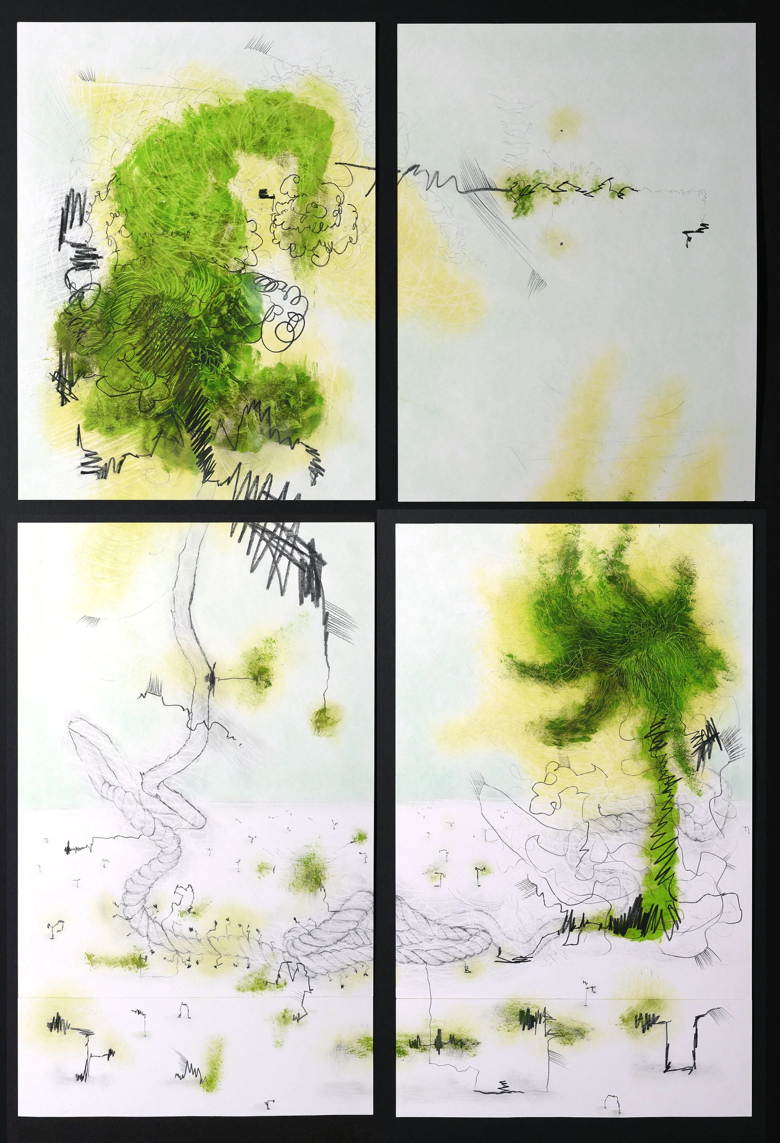 OBSERVED AND RECORdED PERMUTATION OF THE HOLY SPIRIT XVI PASTEL, GRAPHITE AND OIL ON PAPER 19 IN. X 28 IN. price $1,600