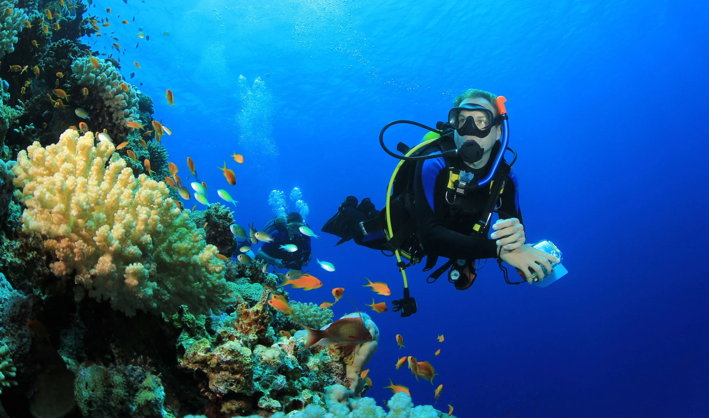 dive copy 2.jpg