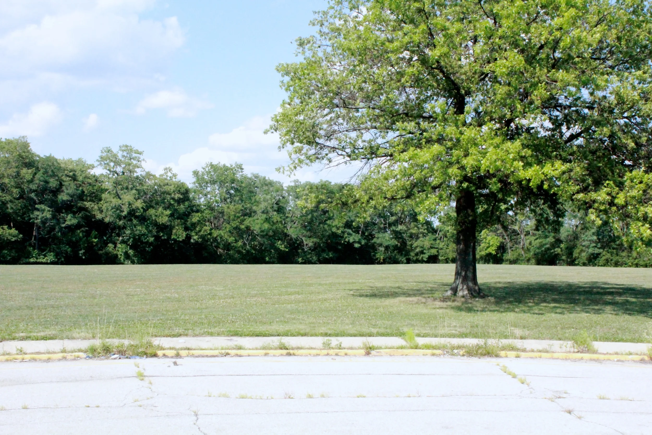 Glenway Woods