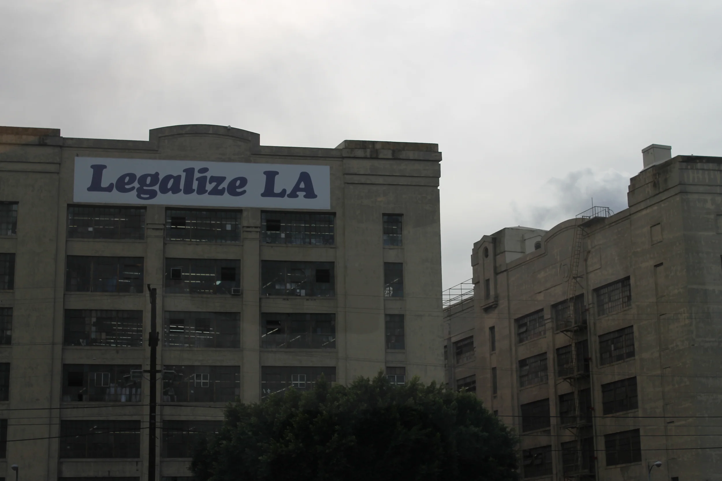 LA Gang Tours: "Nobody can change the hood but the hood" 