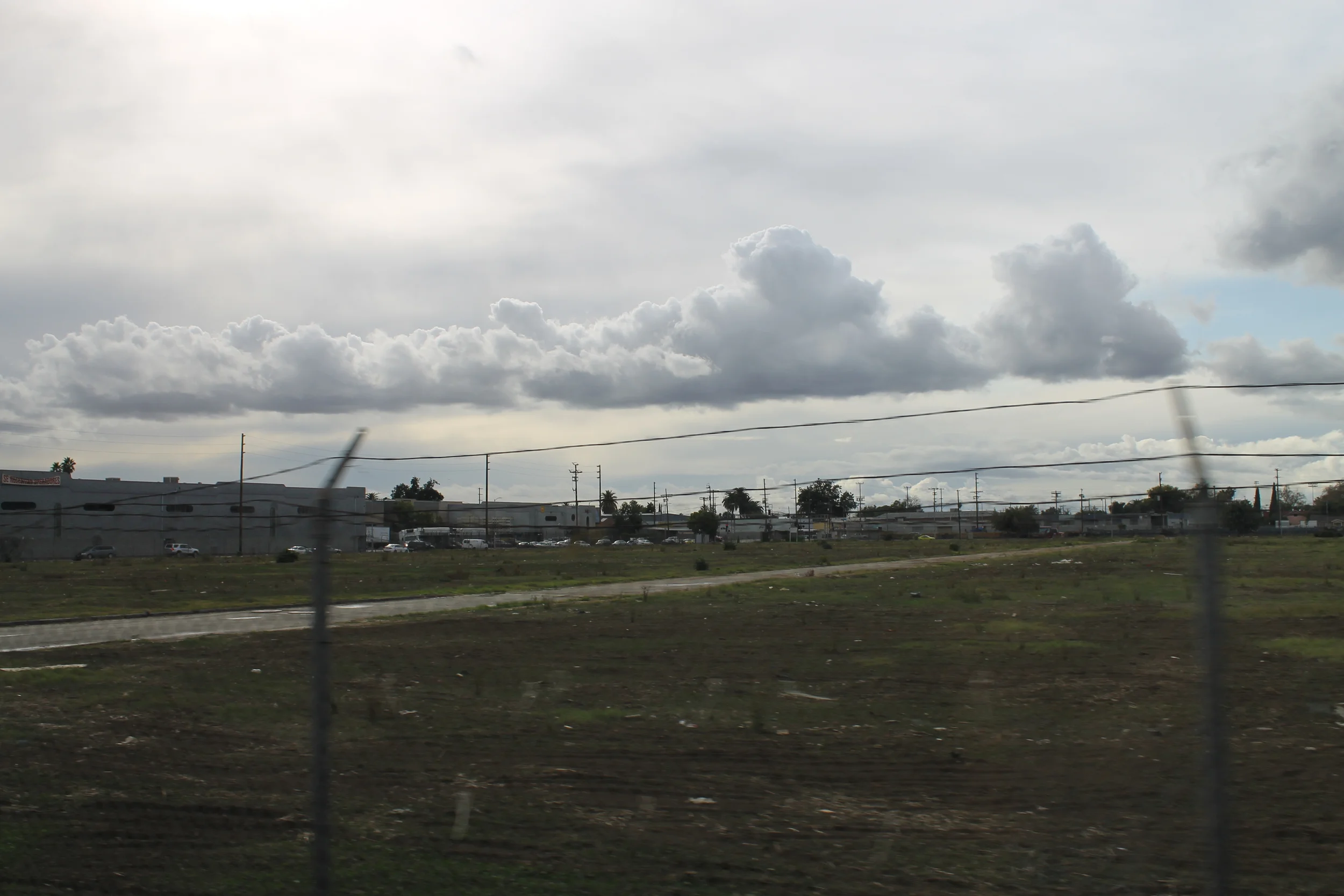 LA Gang Tours: "Nobody can change the hood but the hood" 