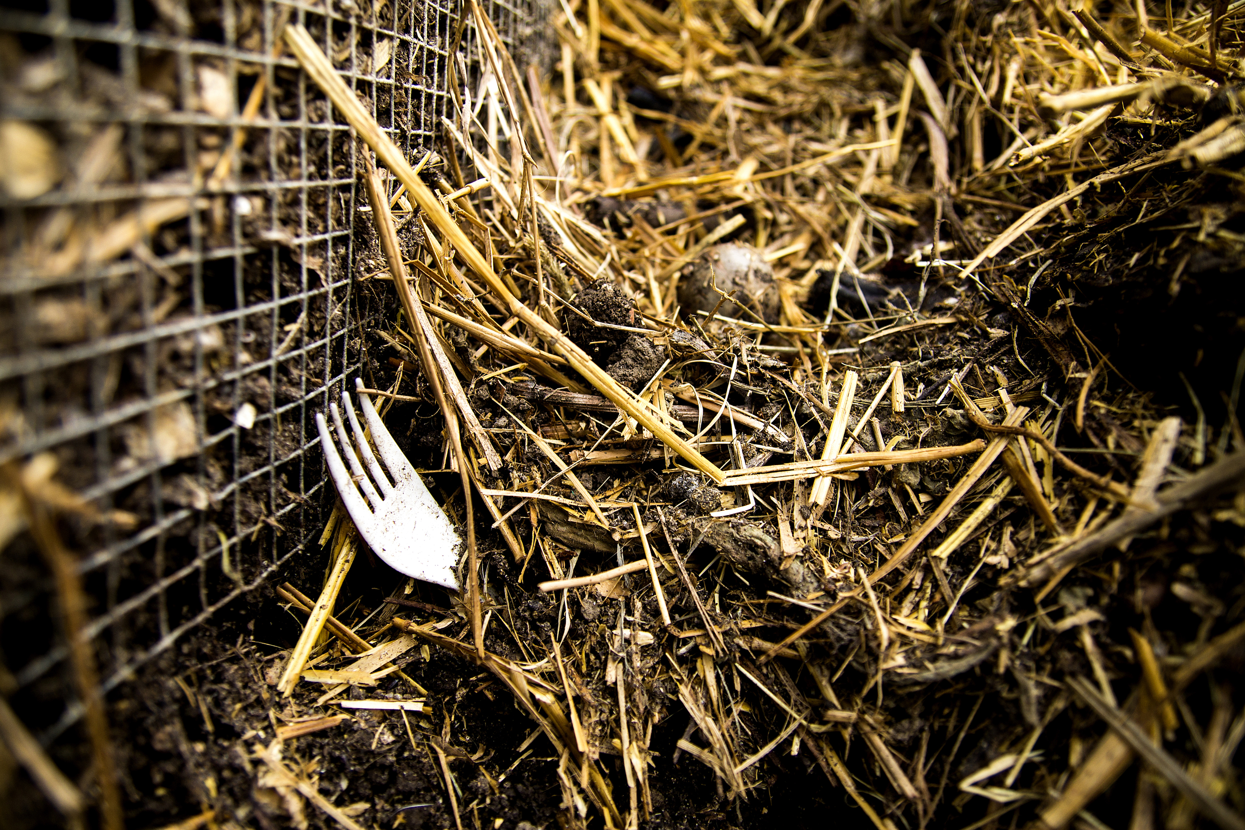 Community garden