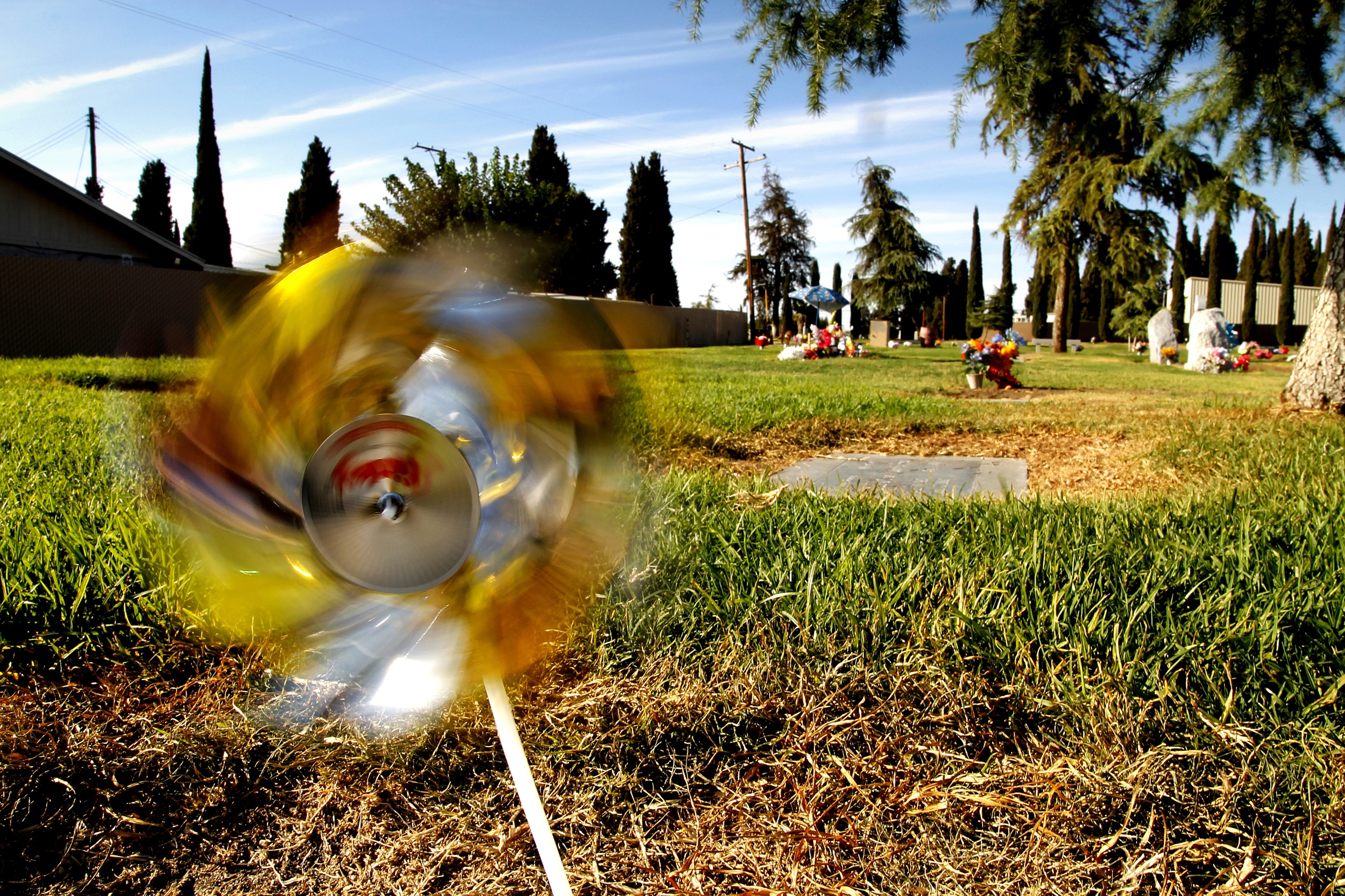 Pin wheel