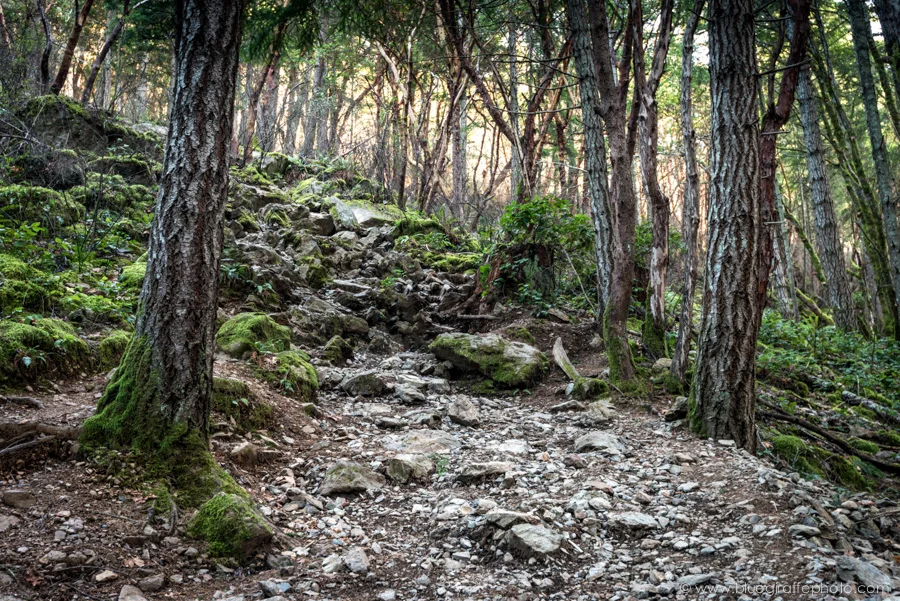 The climb.