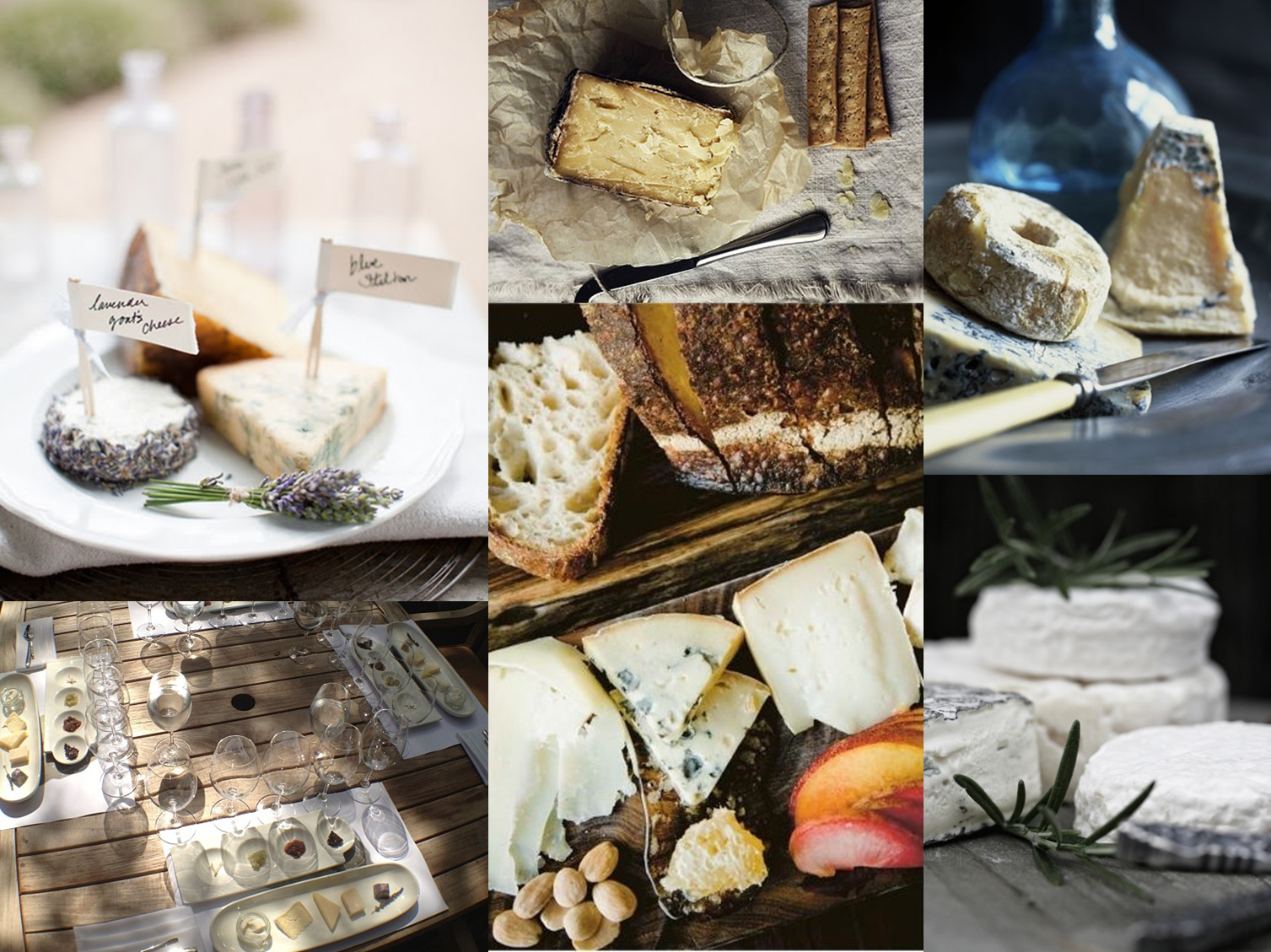 Cheese Collage.png