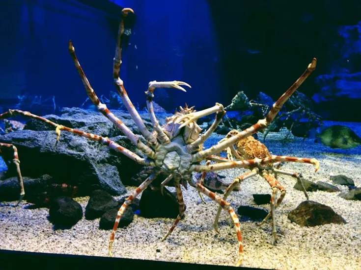 osaka2012027.jpg