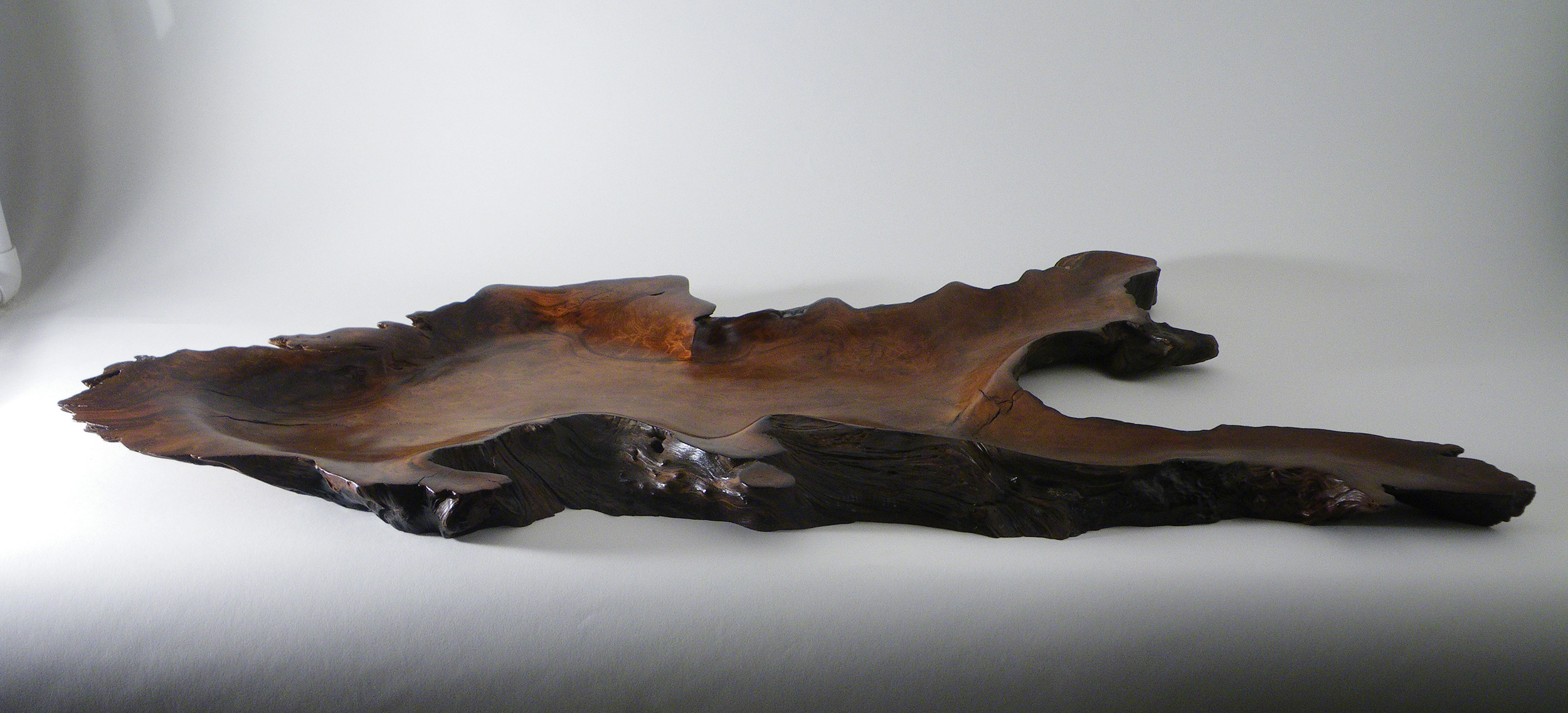 Redwood Burl side view